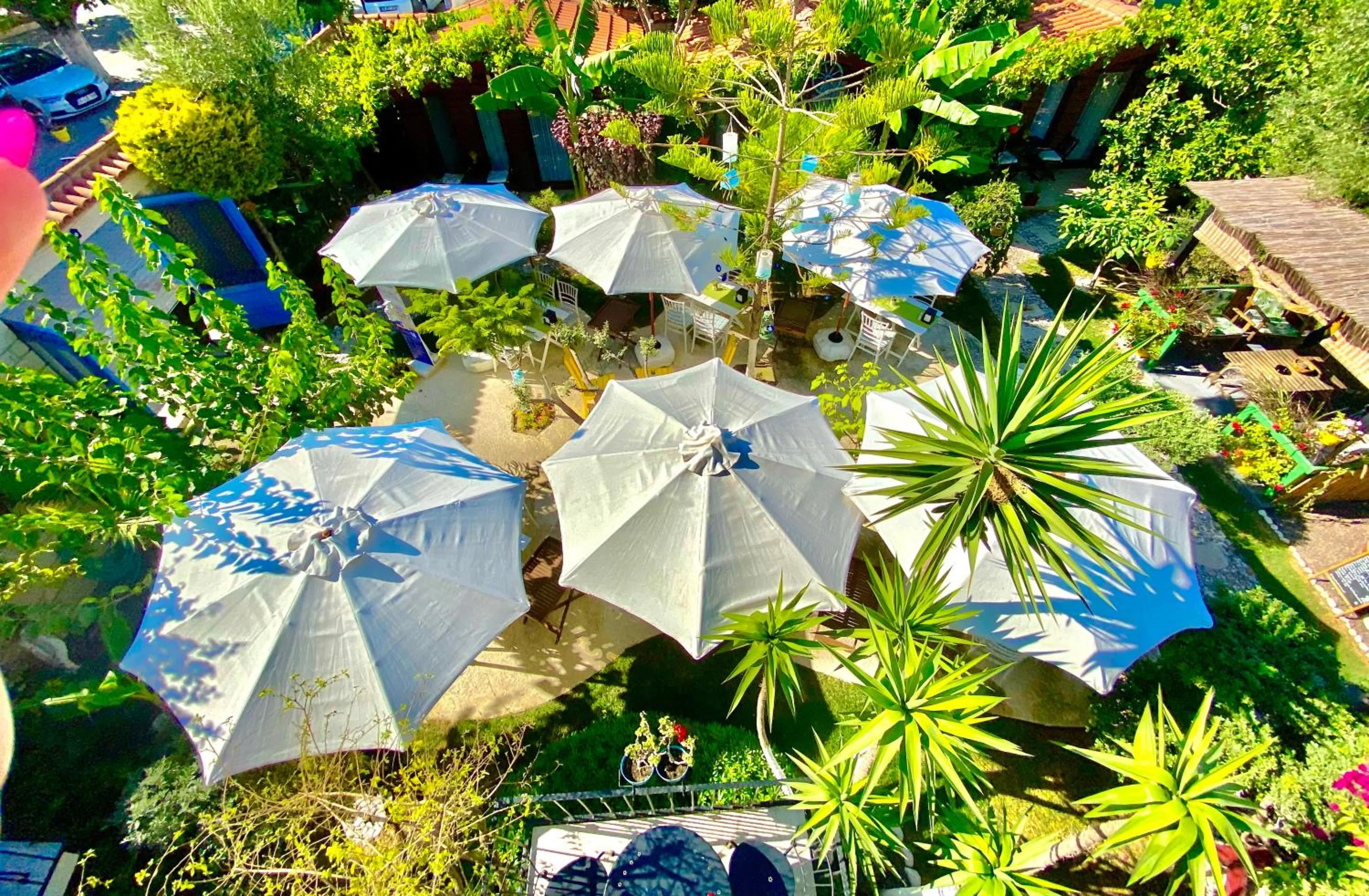 Garden view in Alacati Kayezta Hotel