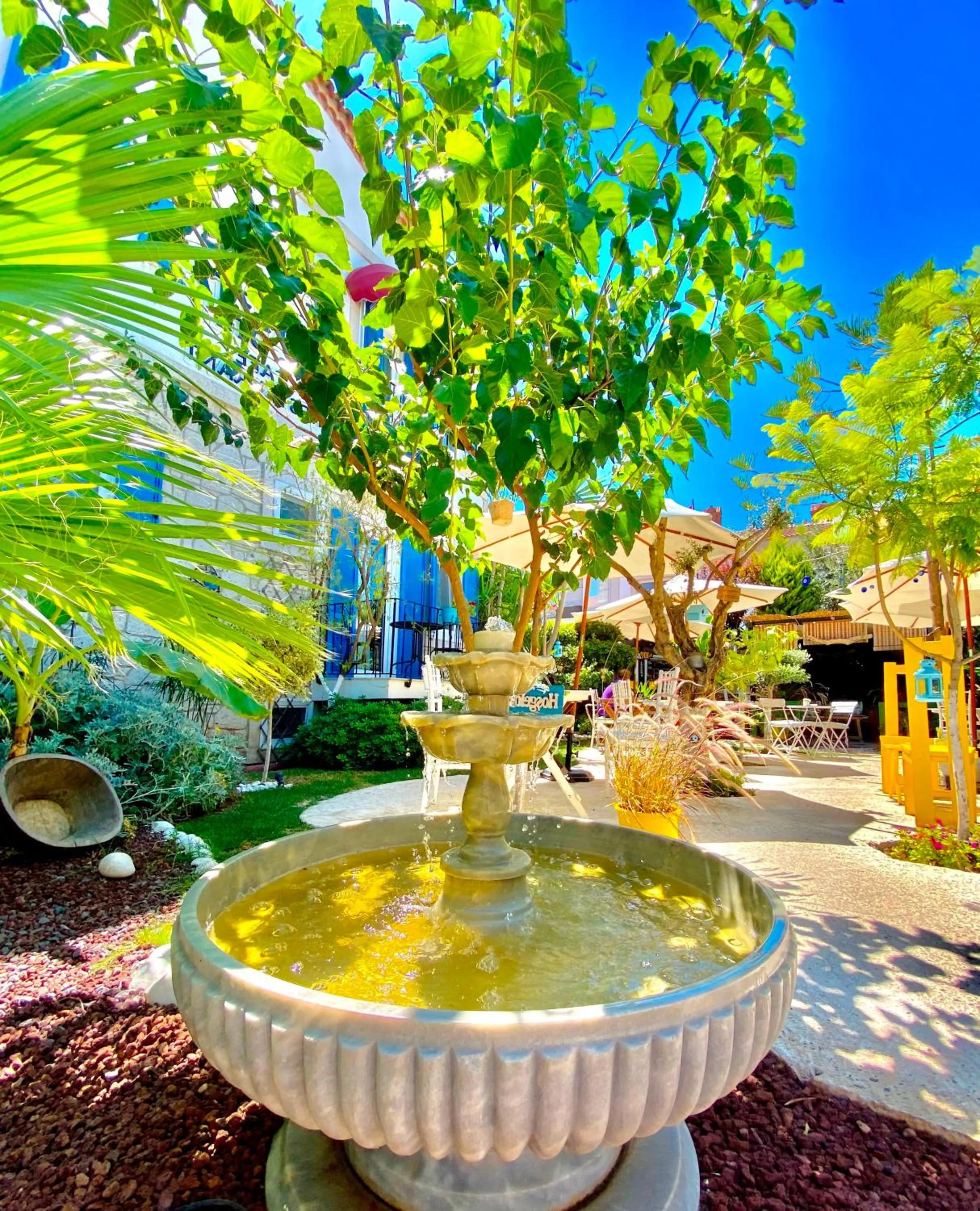 Garden in Alacati Kayezta Hotel