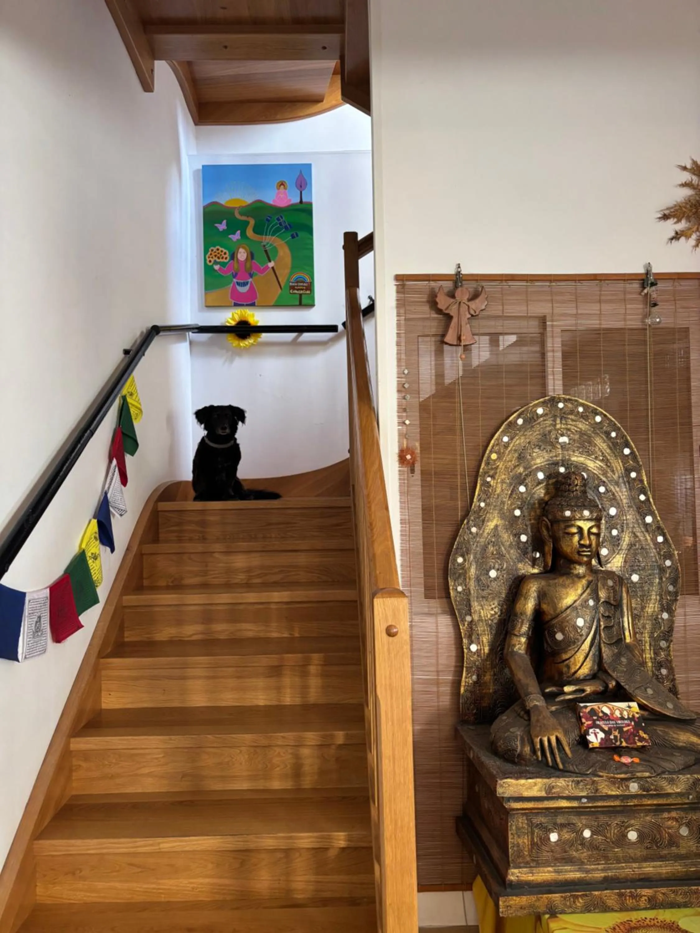 Albergue Estrella Guia