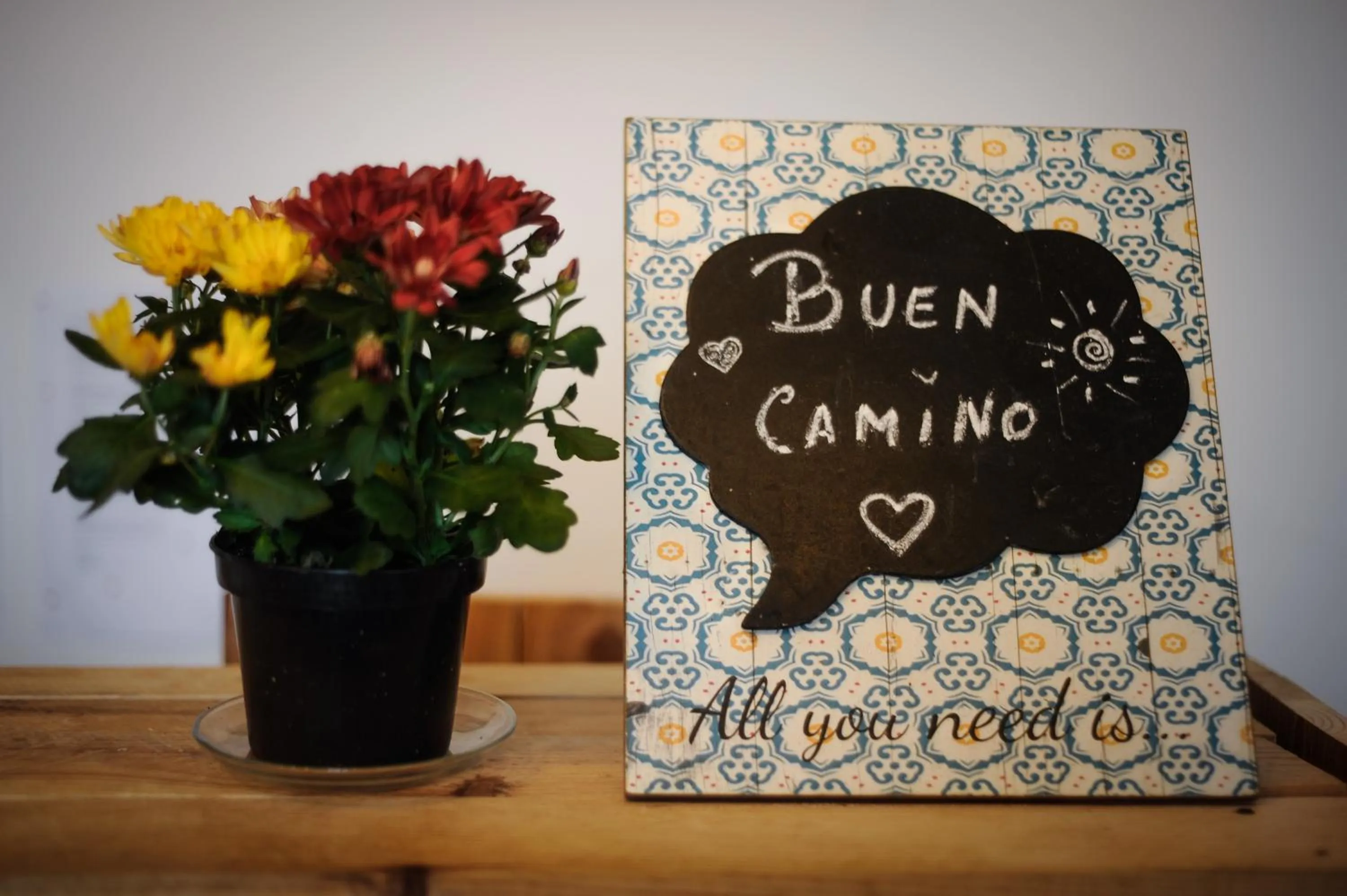 Albergue Estrella Guia Solo Peregrinos