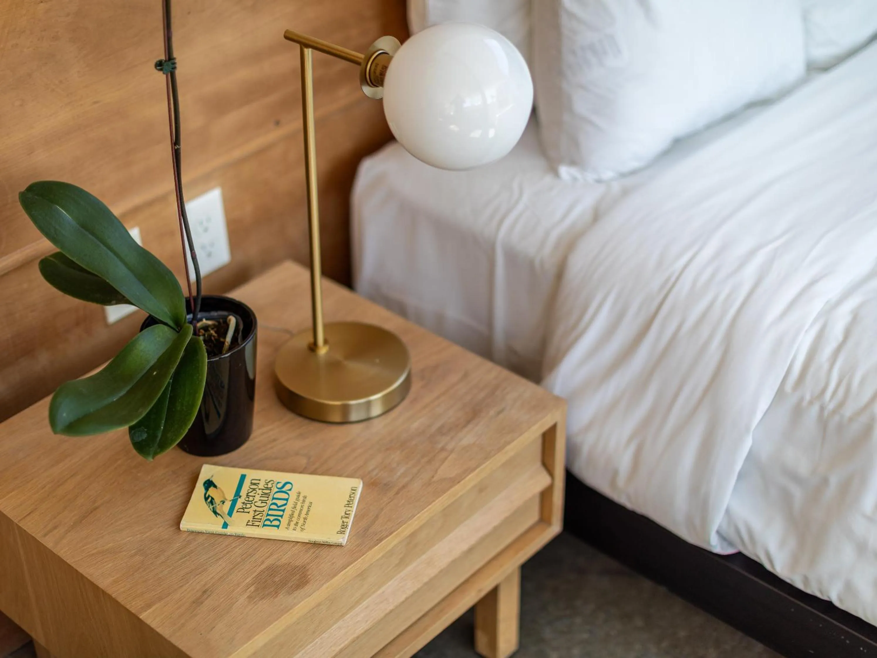 Bed in Abpopa Hillcrest