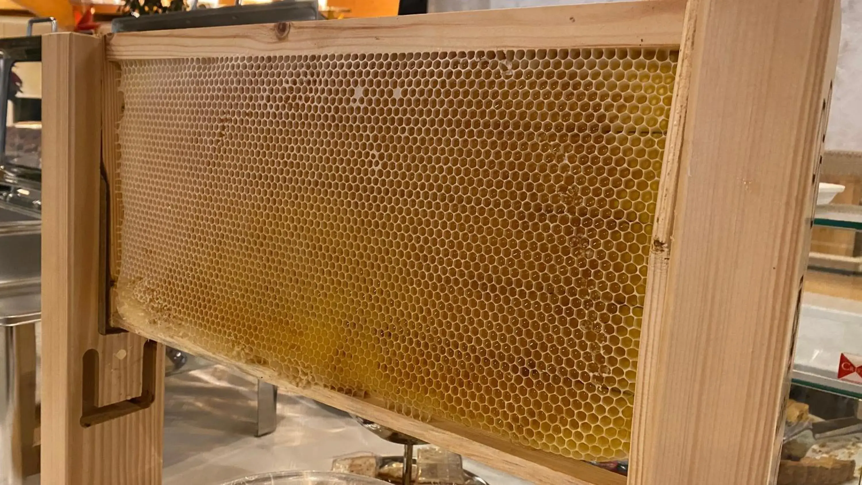 Breakfast in Aragosta Hotel Breakfast in Aragosta Hotel