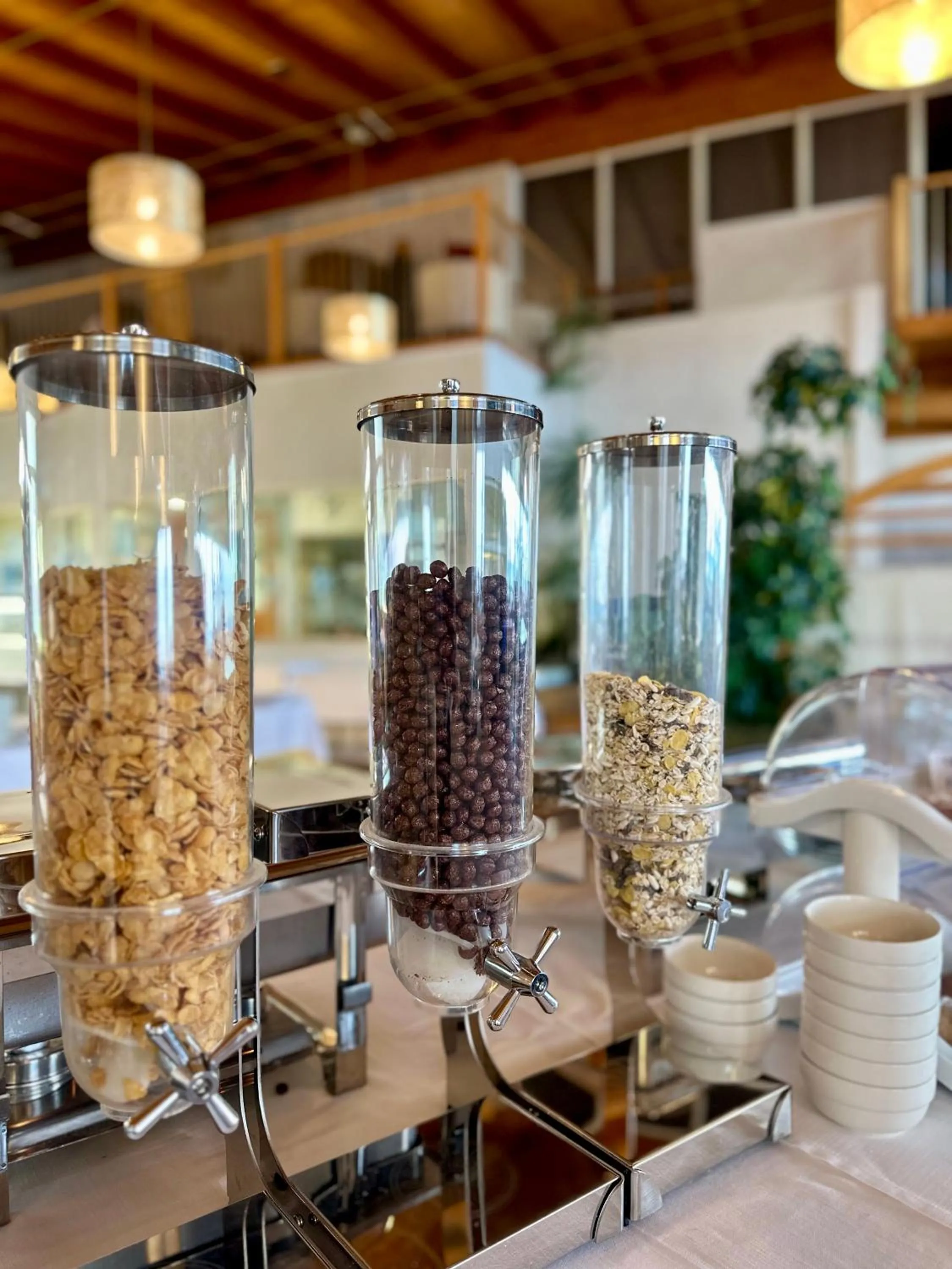 Restaurant/places to eat in Aragosta Hotel