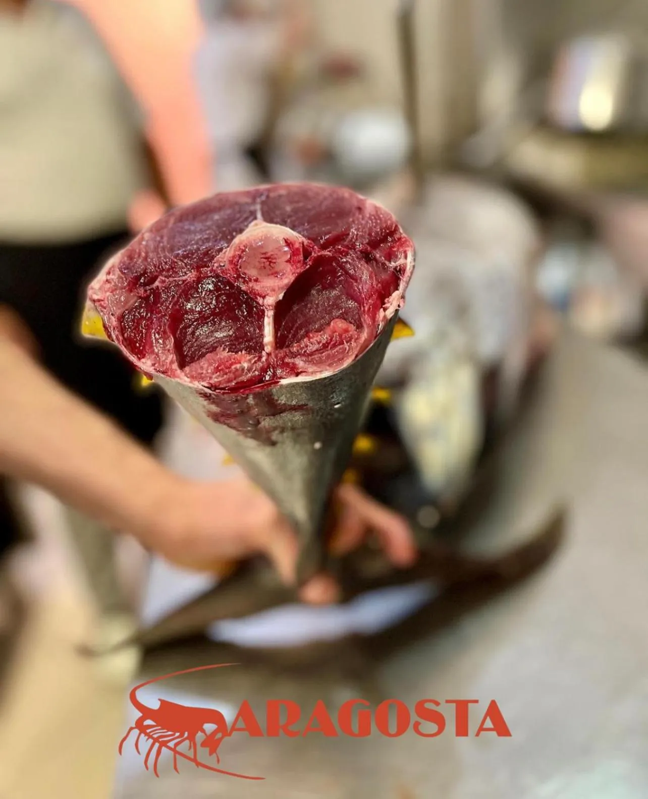 Restaurant/places to eat in Aragosta Hotel