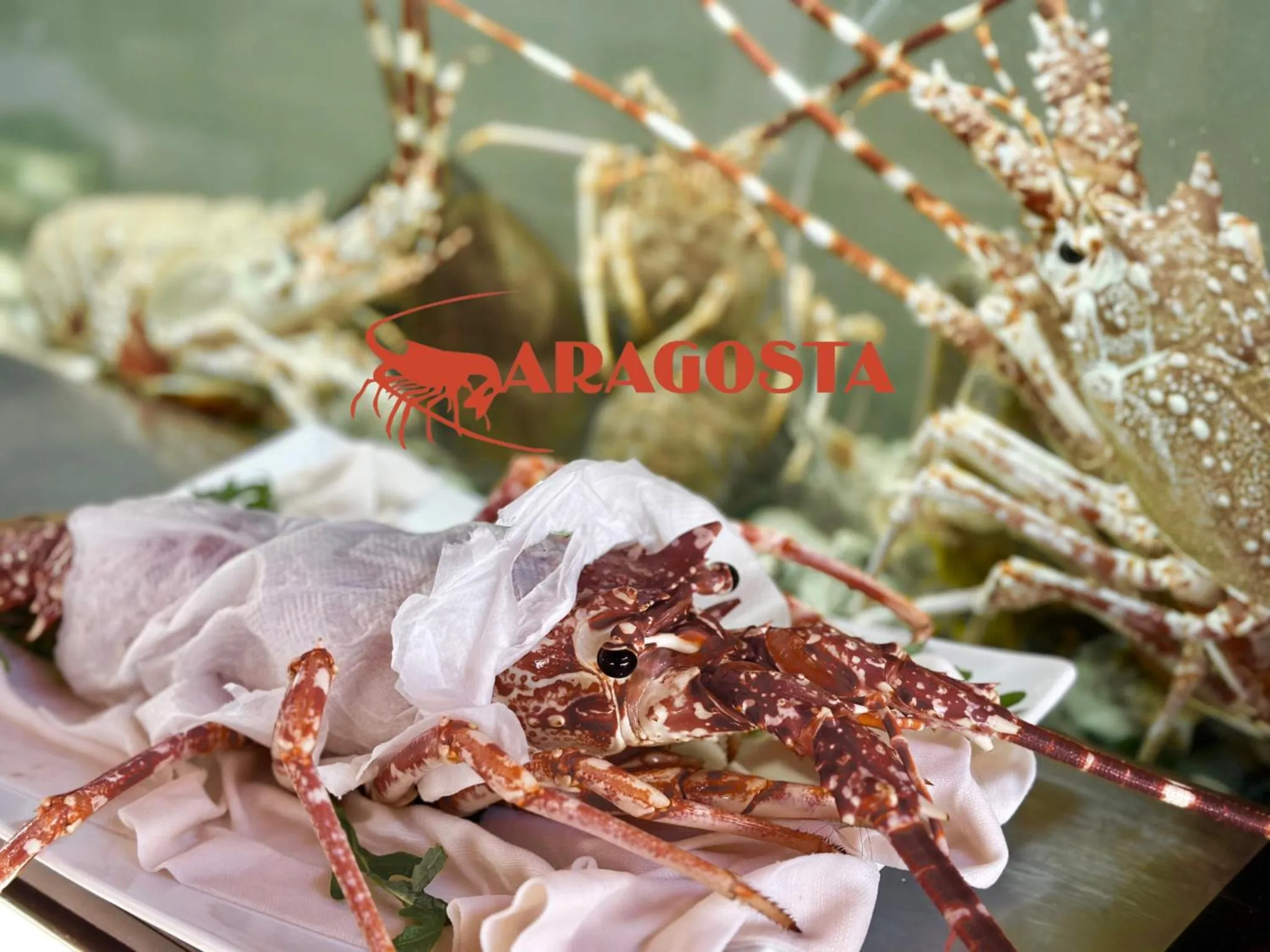 Restaurant/places to eat in Aragosta Hotel