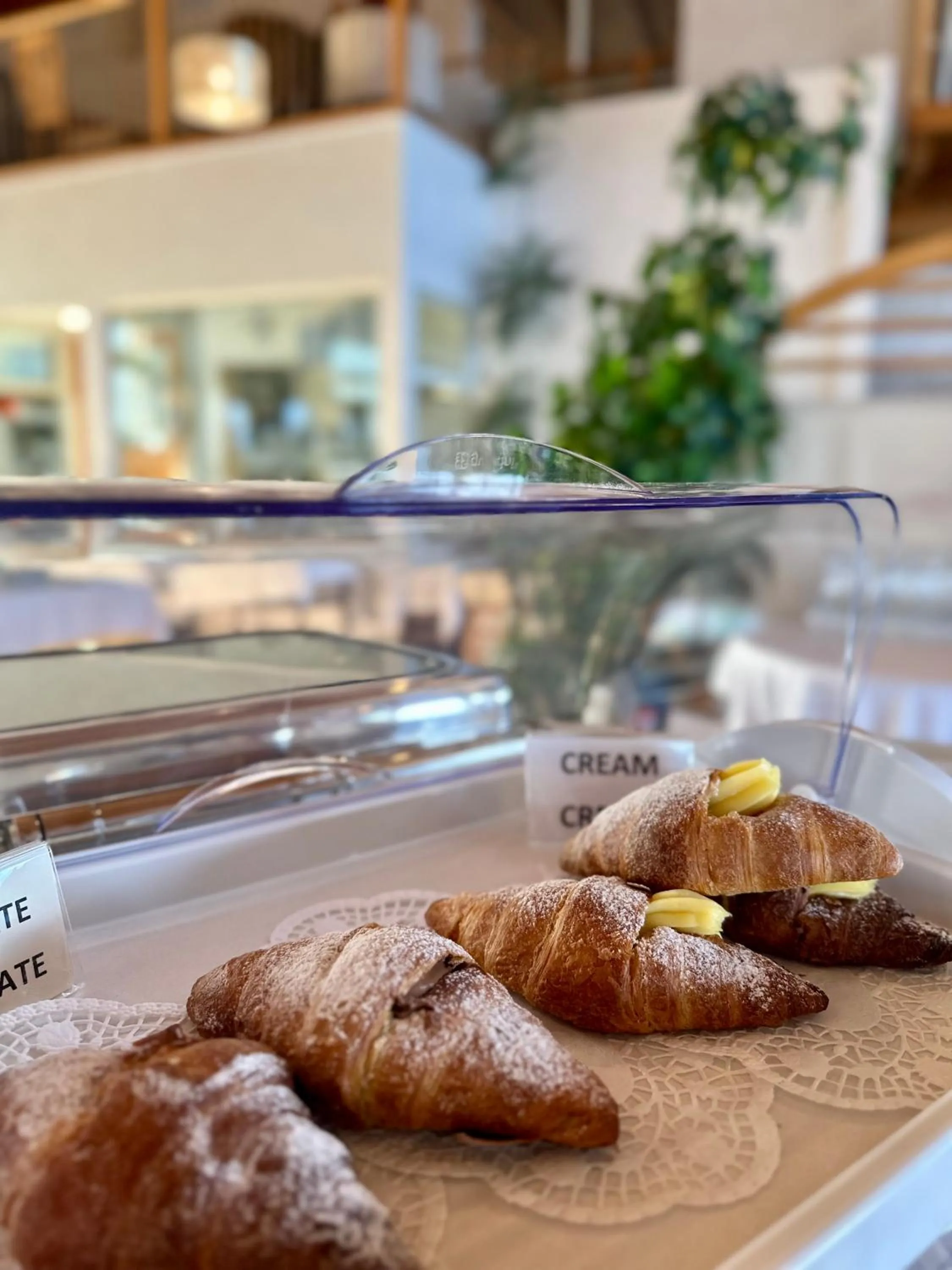 Food and drinks in Aragosta Hotel