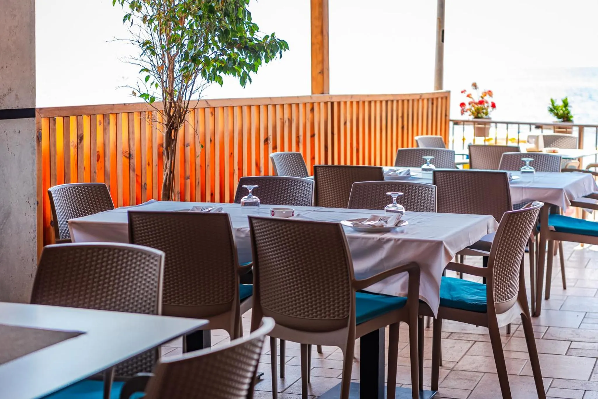 Restaurant/places to eat in Aragosta Hotel