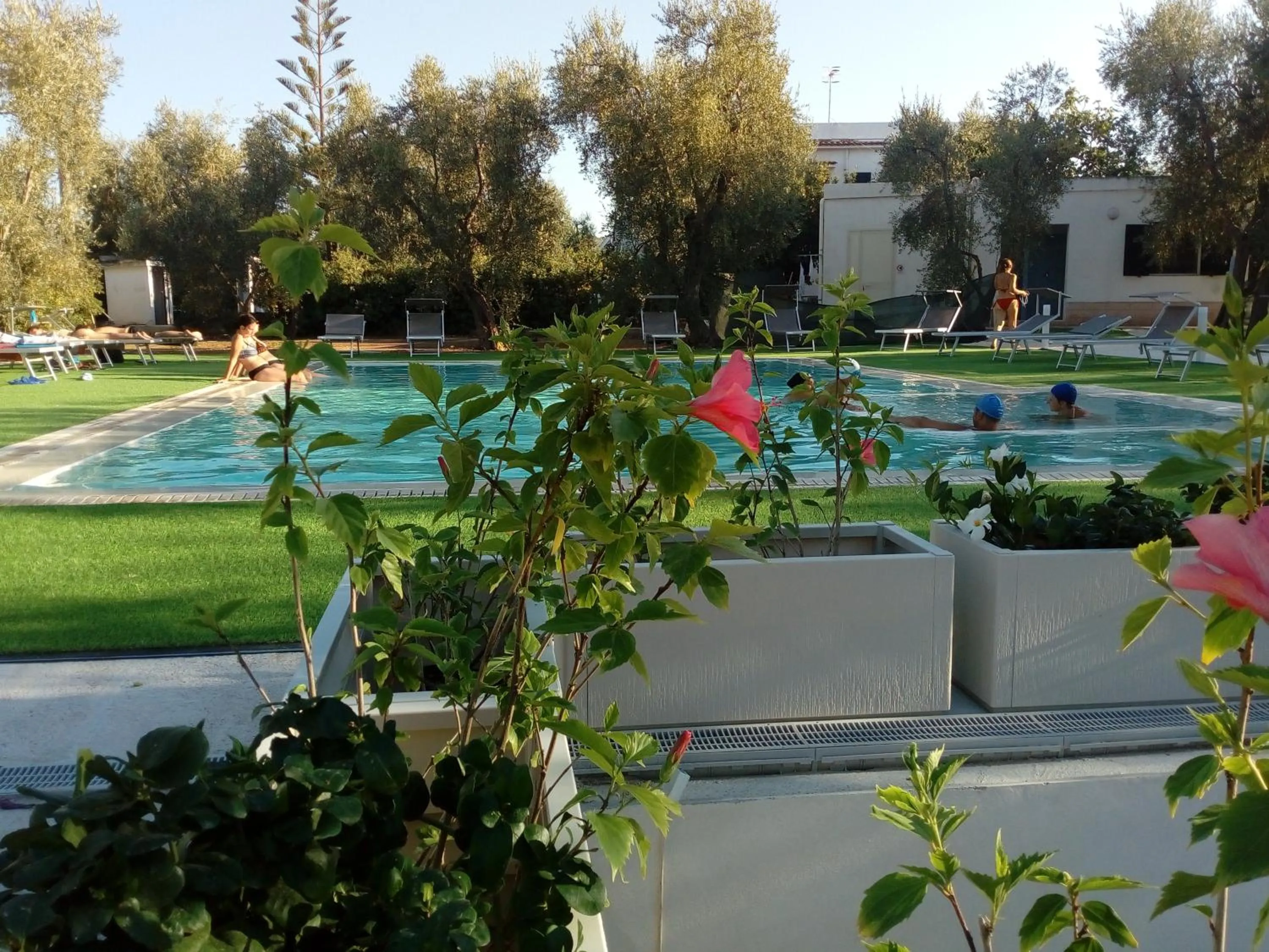 Swimming pool in Residence Alba