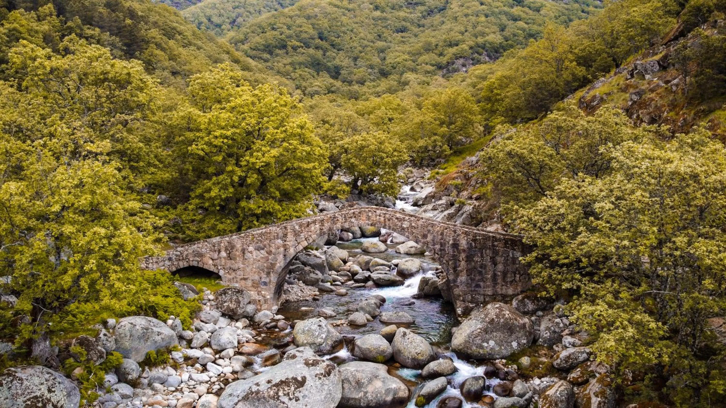 Hostal Los Castañuelos