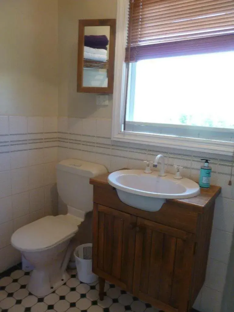 Lilys by the Lake Lilys by the Lake