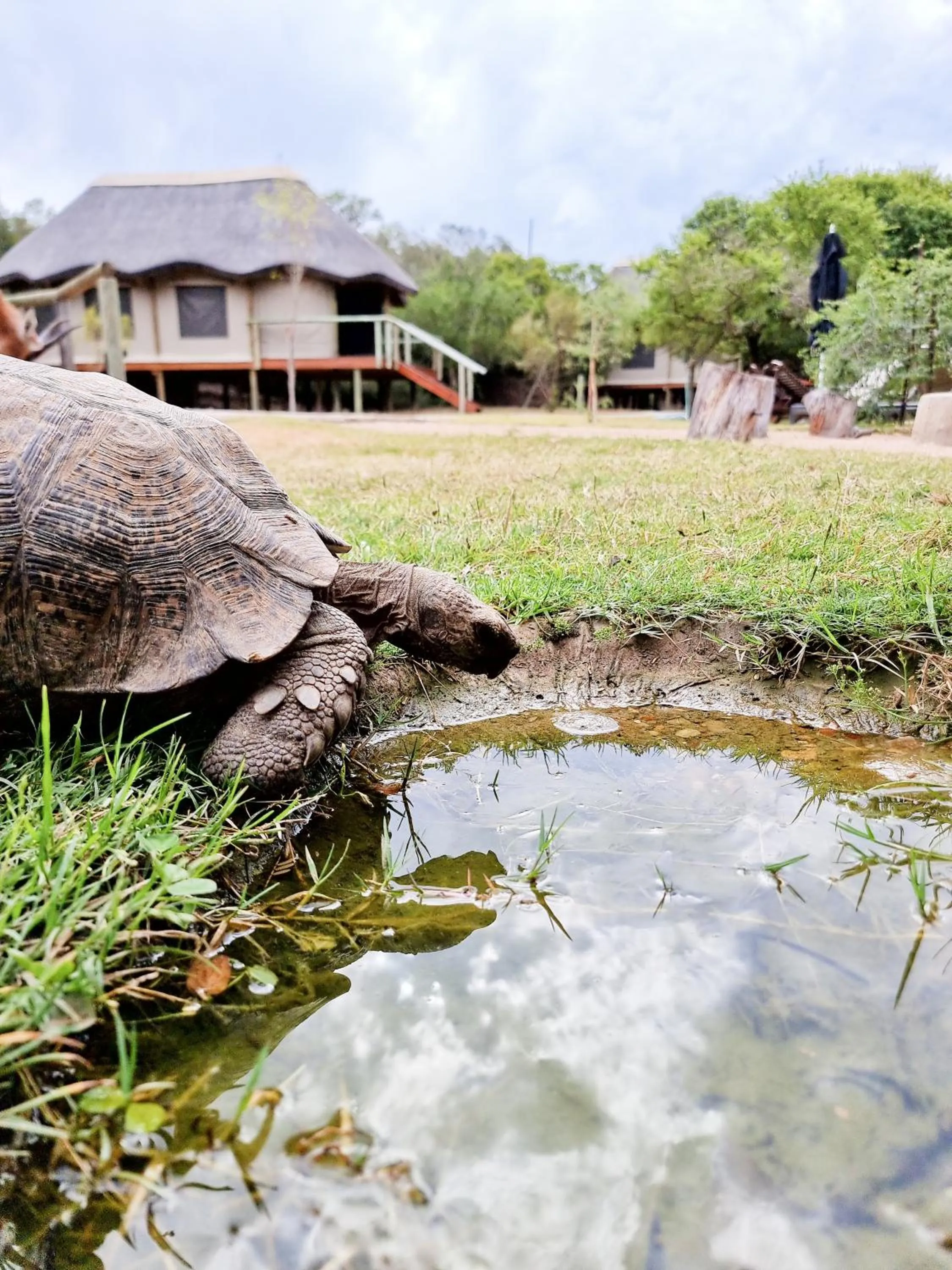 Day in Garden Route Safari Camp