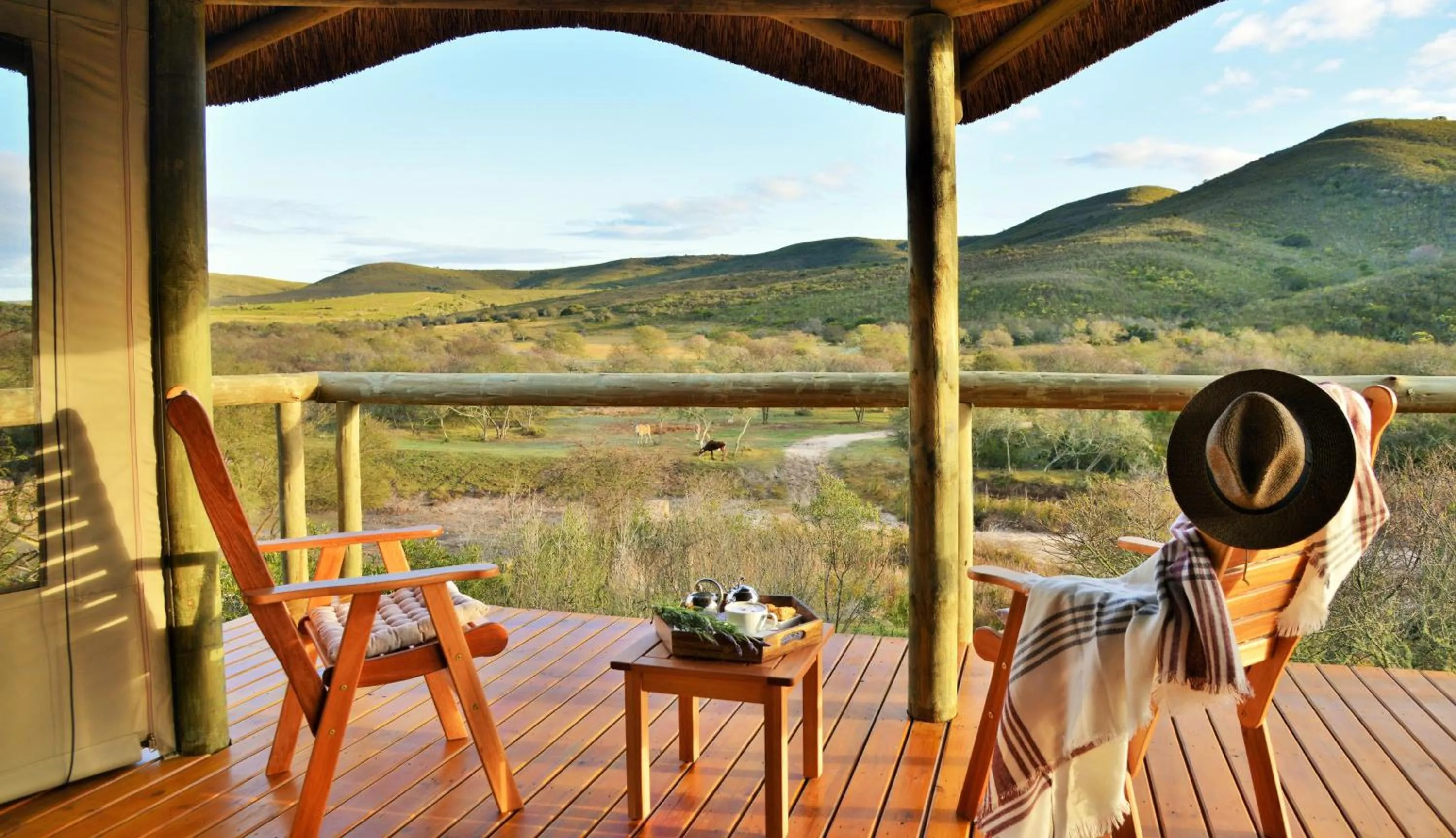 Balcony/Terrace in Garden Route Safari Camp