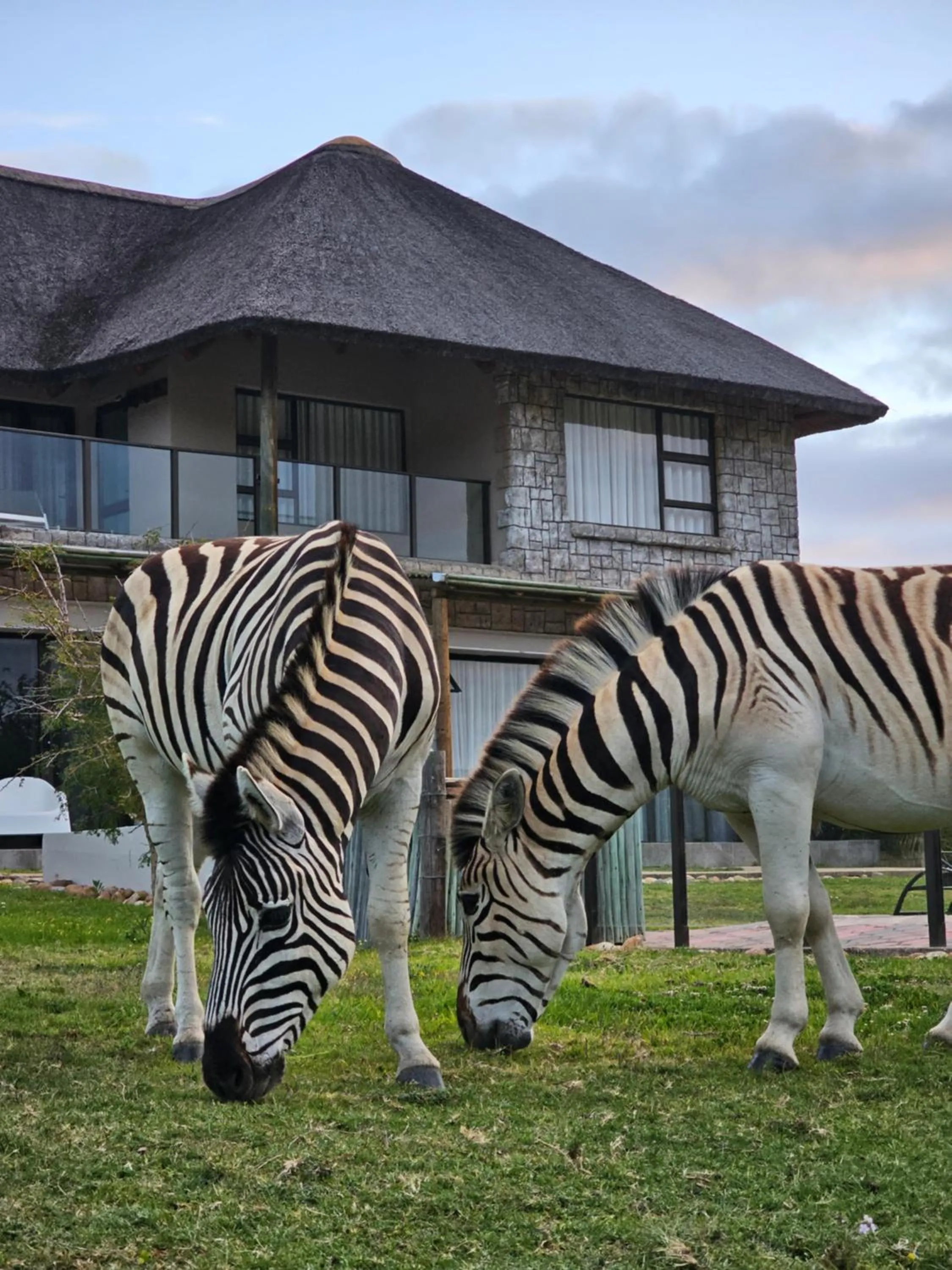 Garden Route Safari Camp