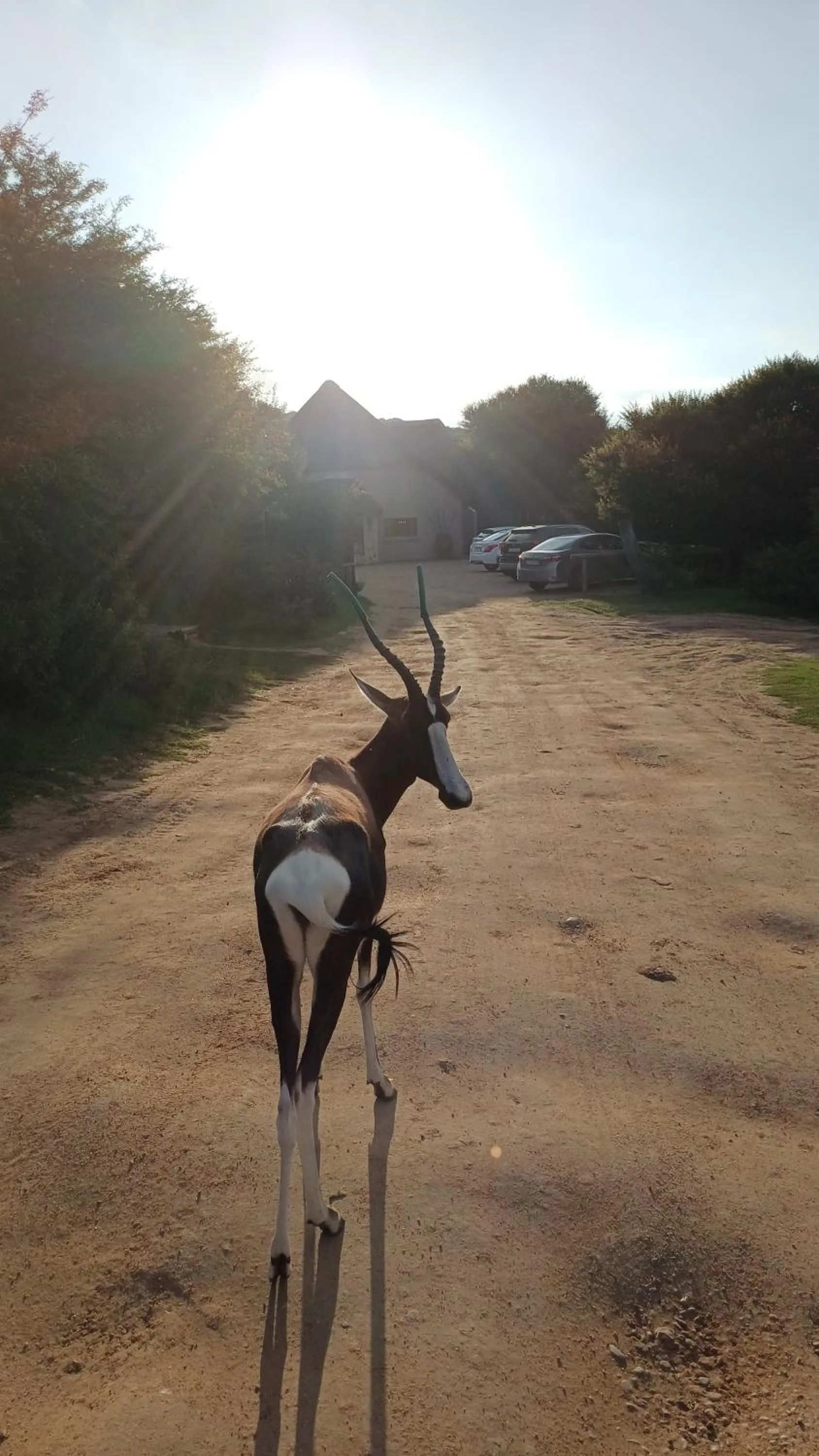 Day in Garden Route Safari Camp