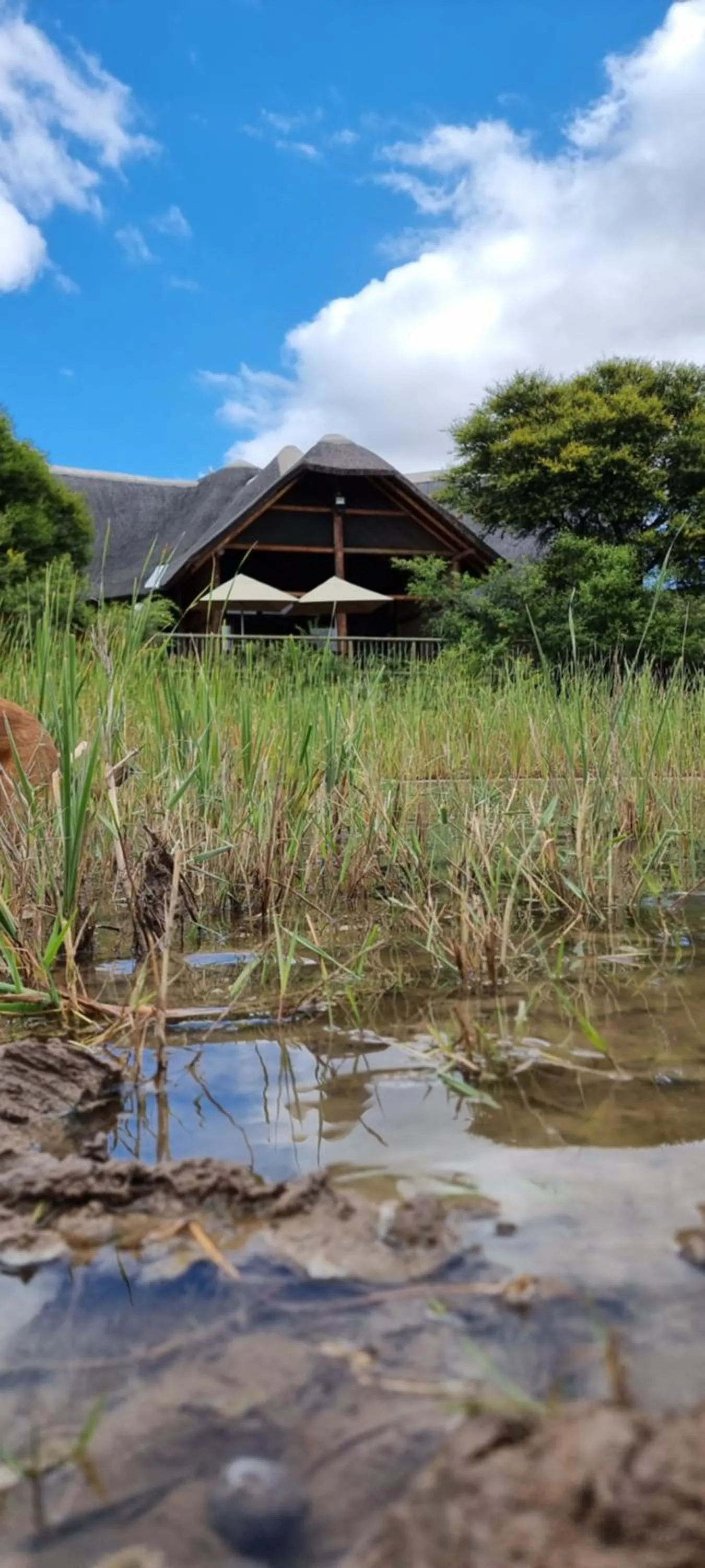 Day in Garden Route Safari Camp