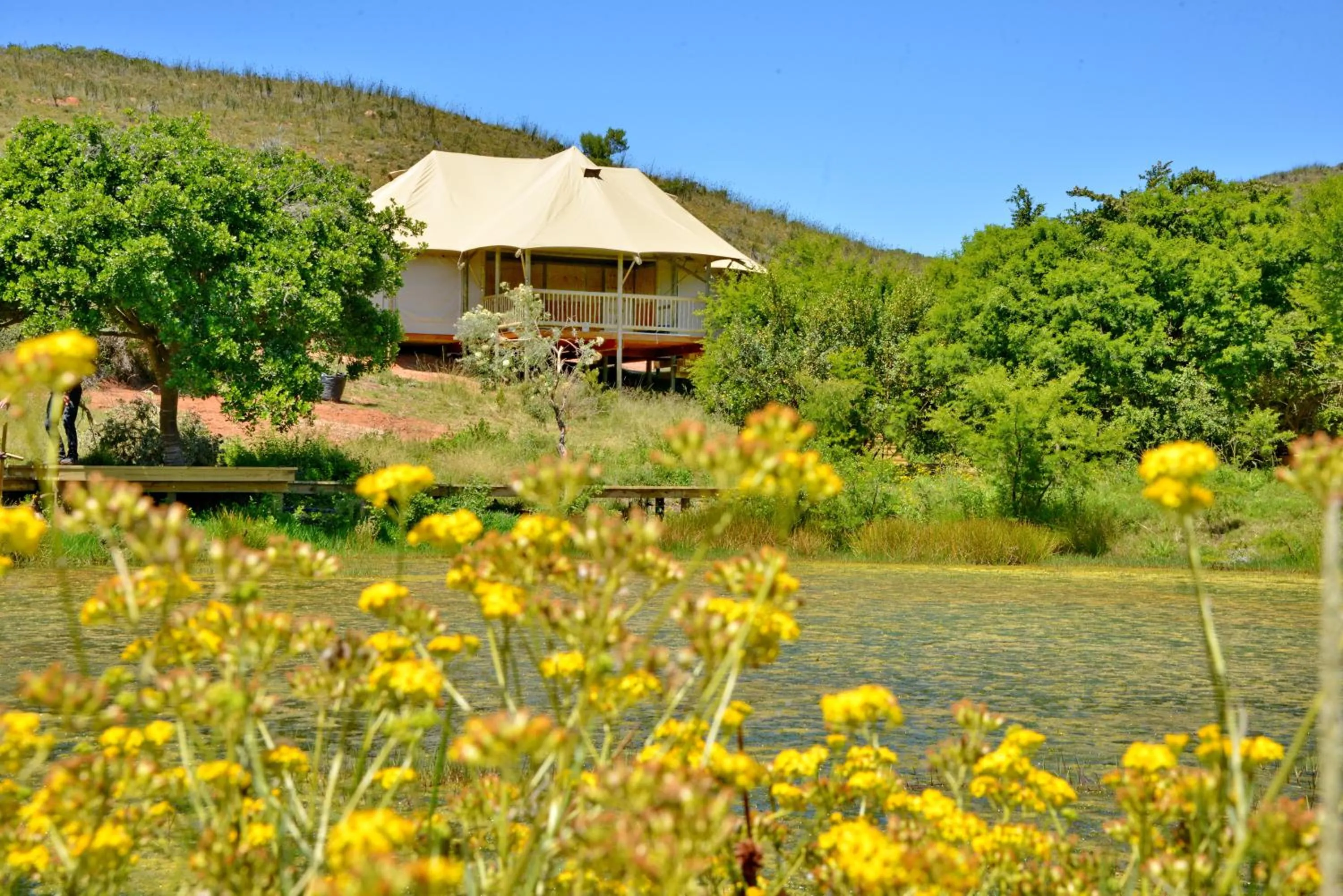 Garden Route Safari Camp