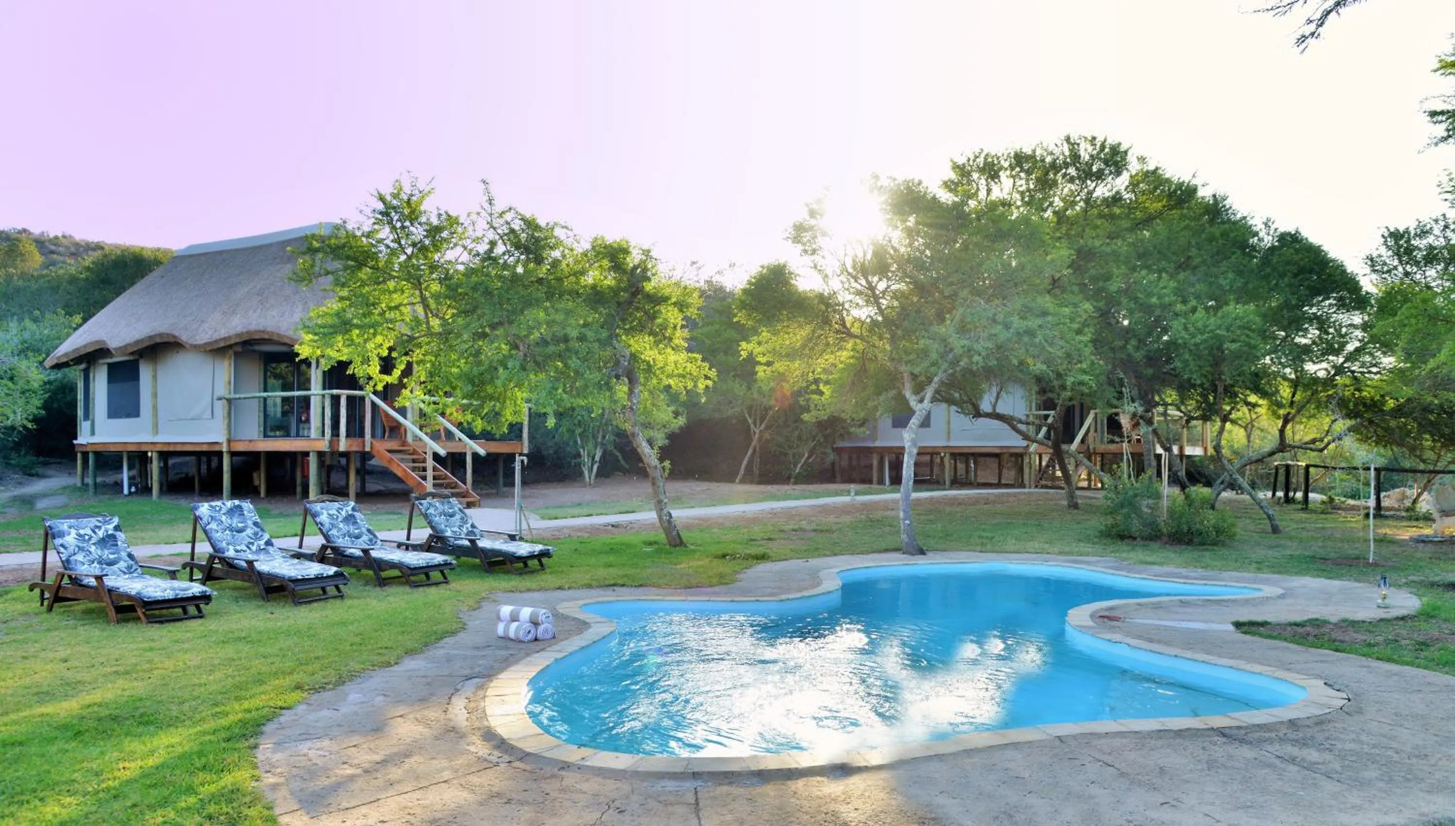 Garden in Garden Route Safari Camp