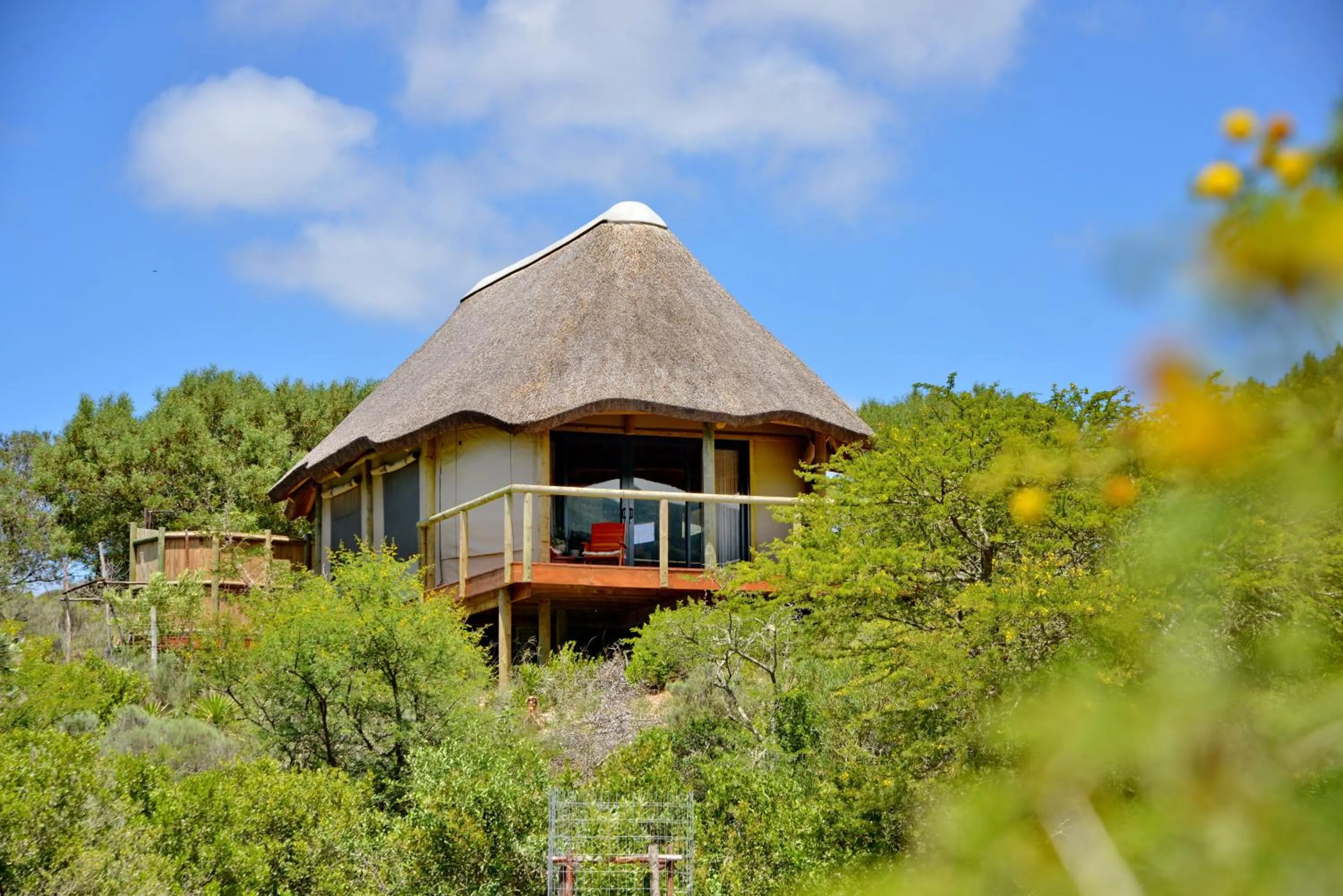 Garden Route Safari Camp