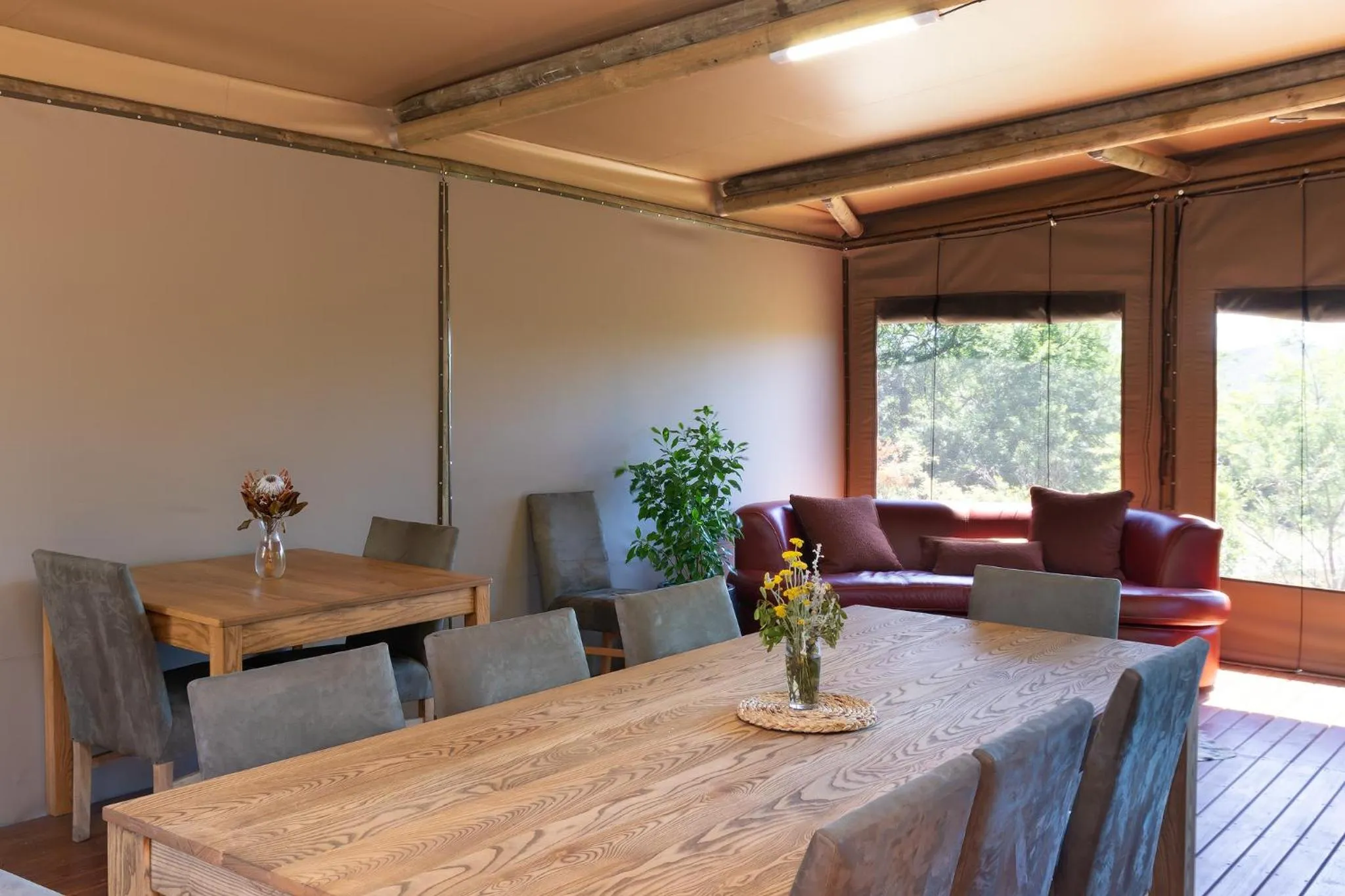 Garden Route Safari Camp