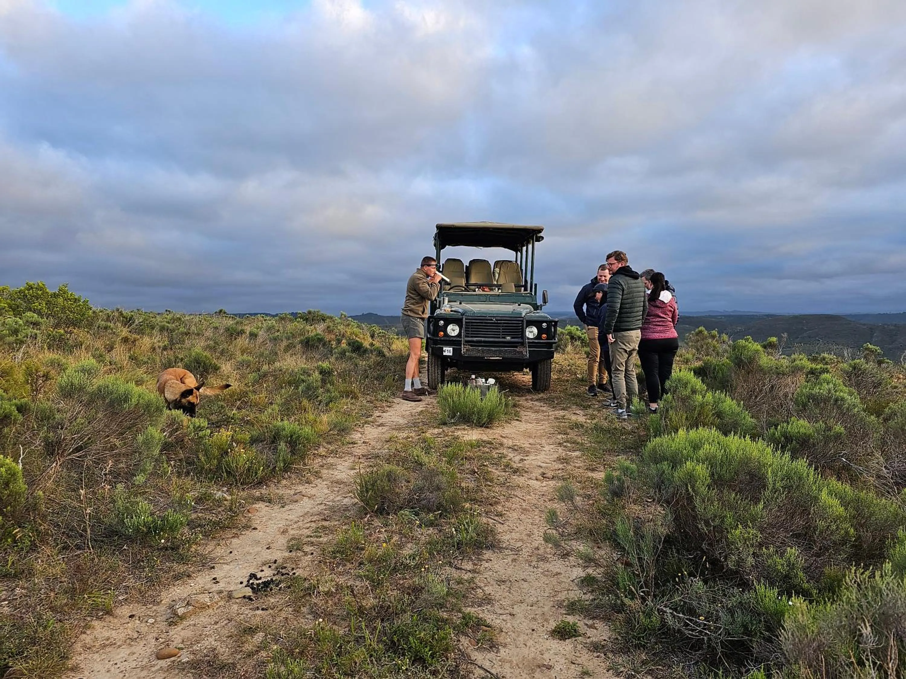 Day in Garden Route Safari Camp