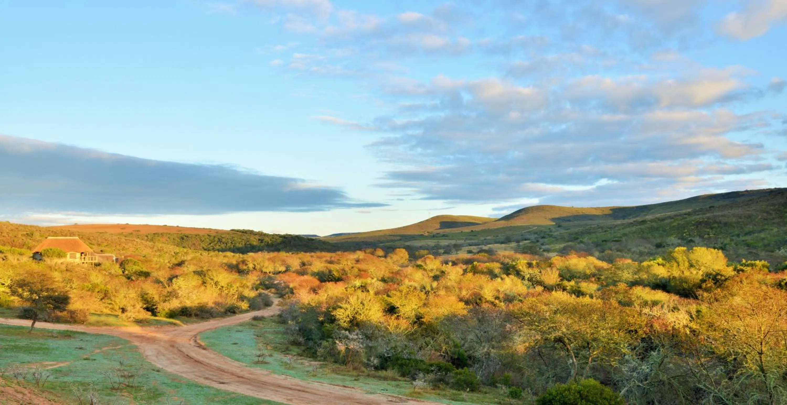 Natural landscape in Garden Route Safari Camp