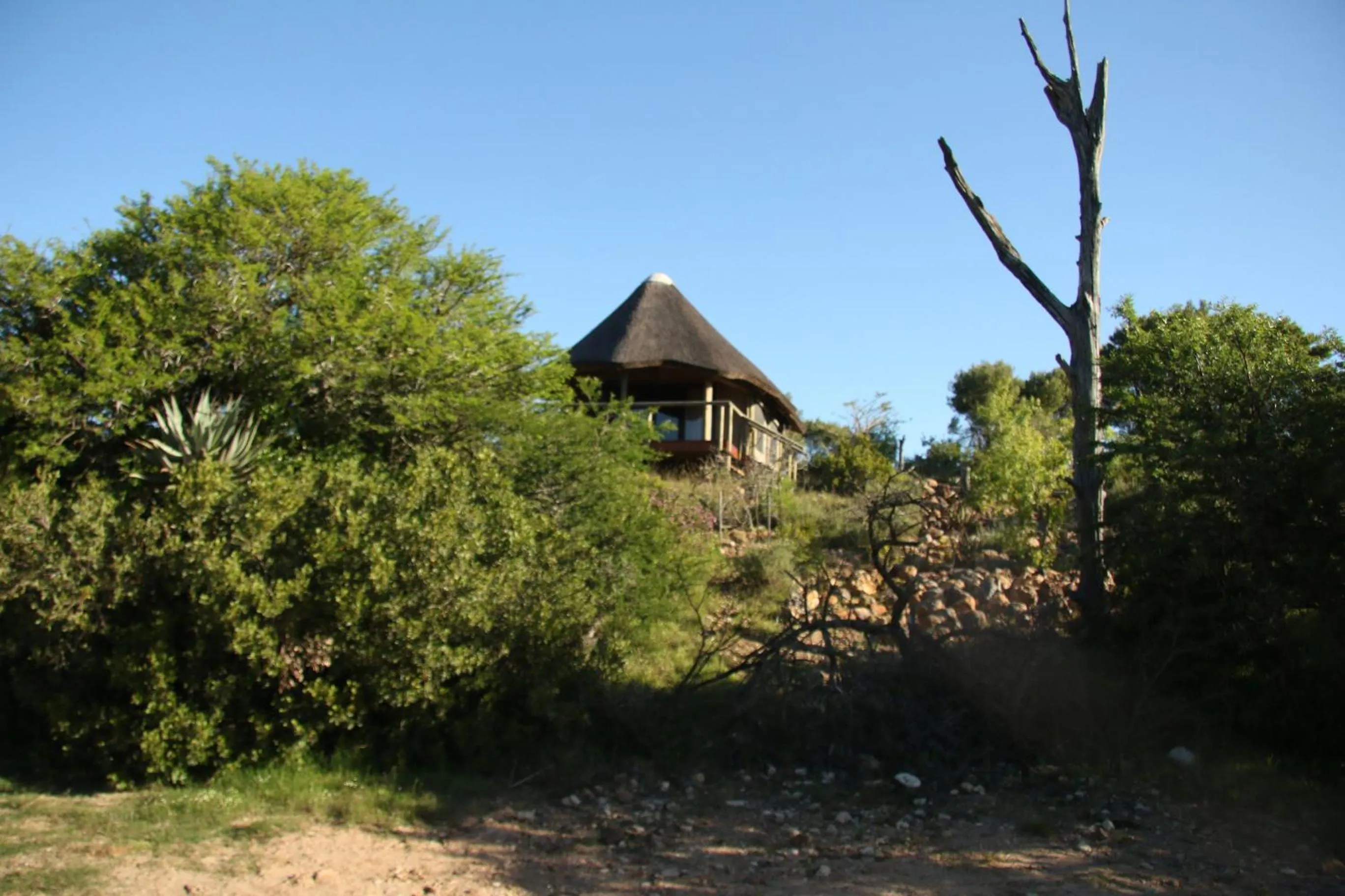 Spring in Garden Route Safari Camp