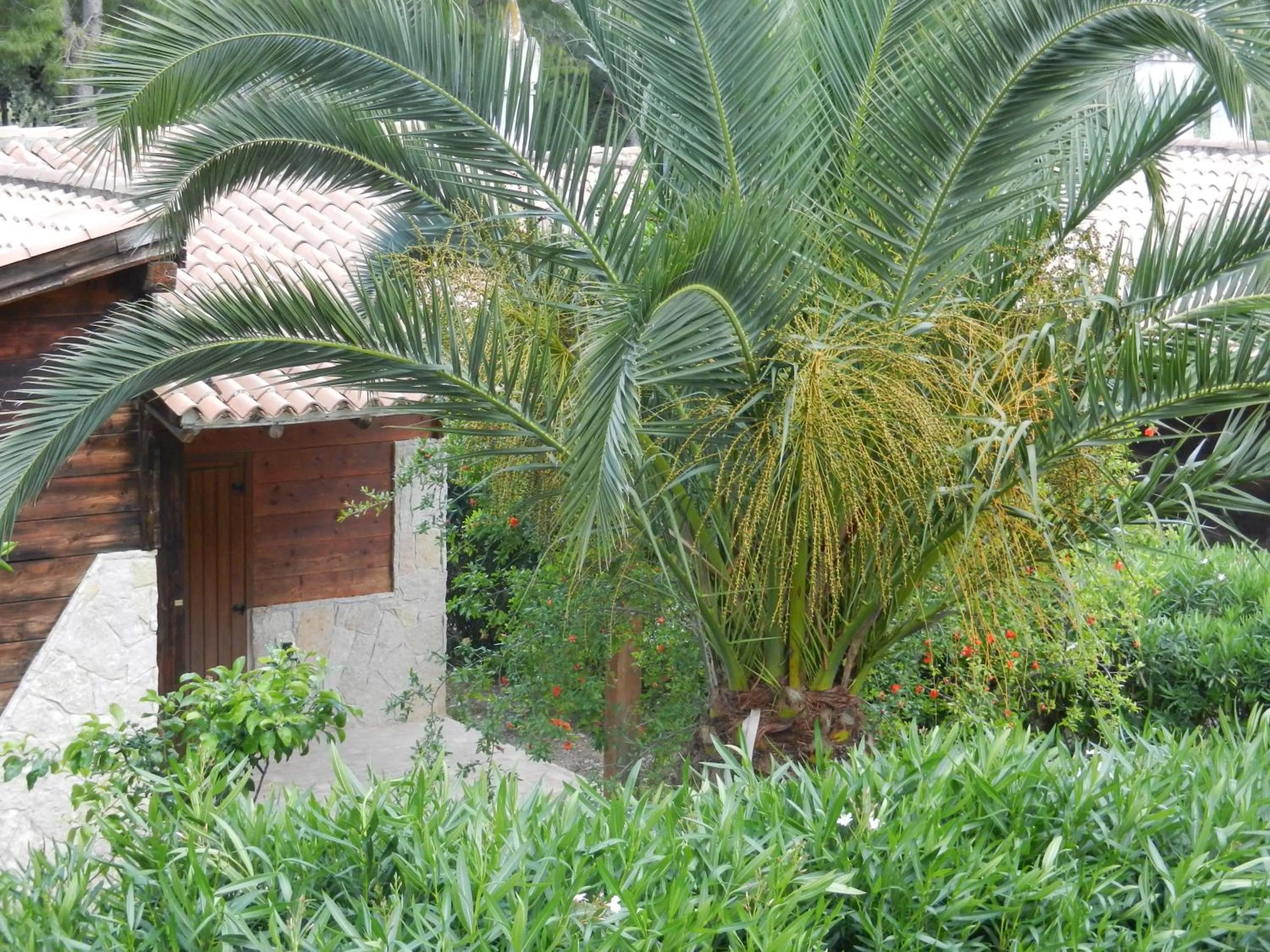 Facade/entrance in Tenuta Molino di Mare- Ecoresort