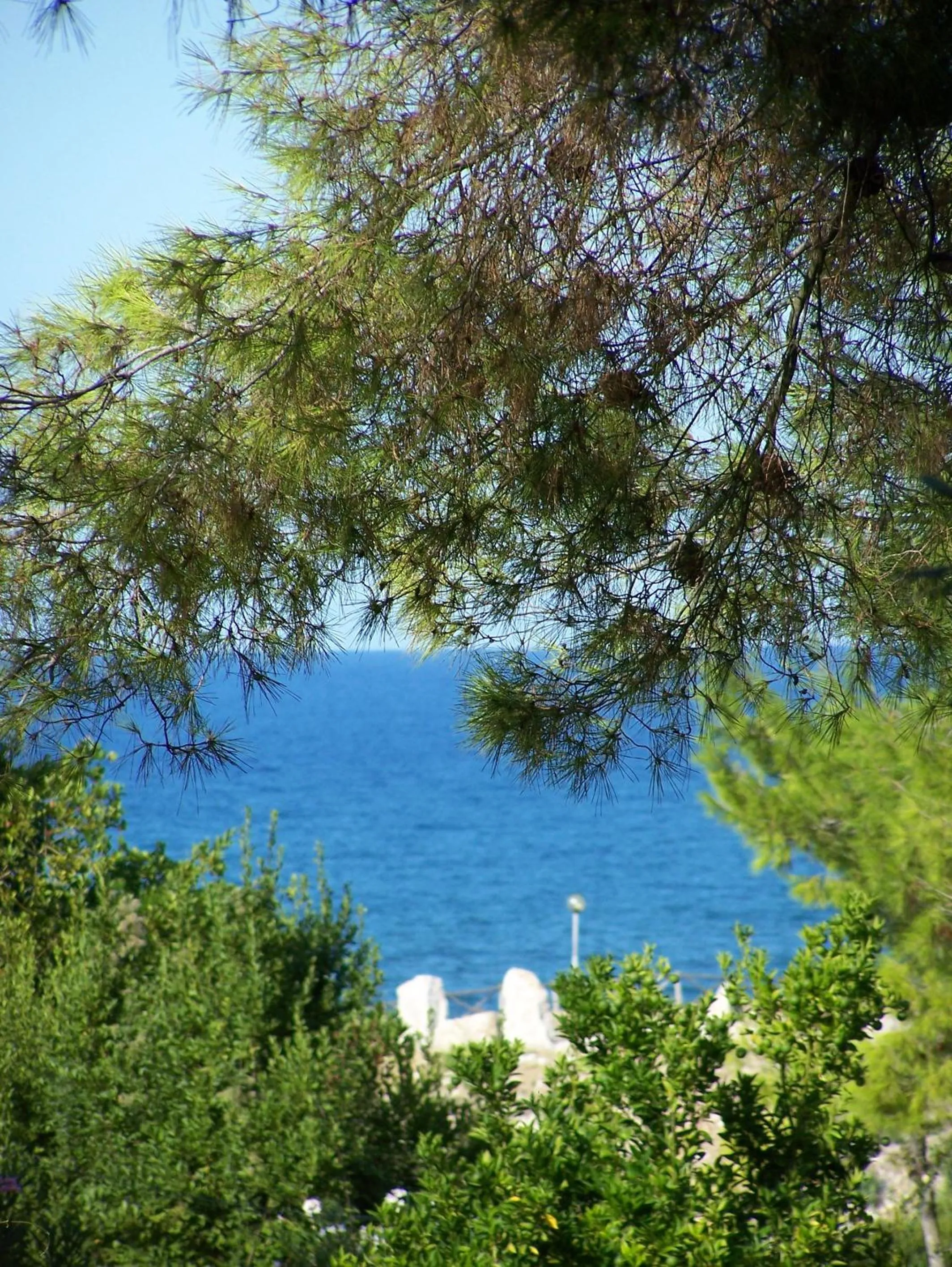 View (from property/room) in Tenuta Molino di Mare- Ecoresort