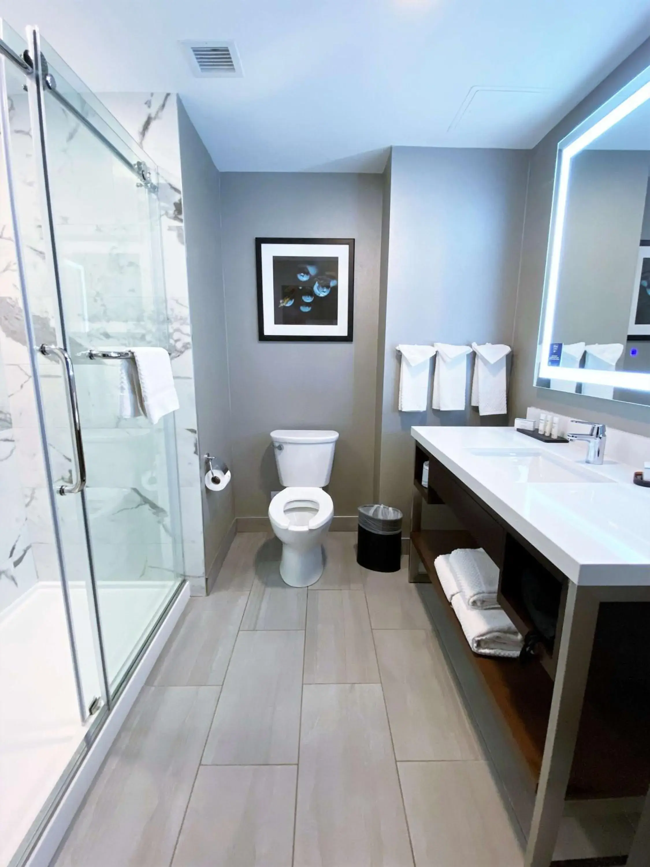 Bathroom in Embassy Suites By Hilton Plainfield Indianapolis Airport Bathroom in Embassy Suites By Hilton Plainfield Indianapolis Airport