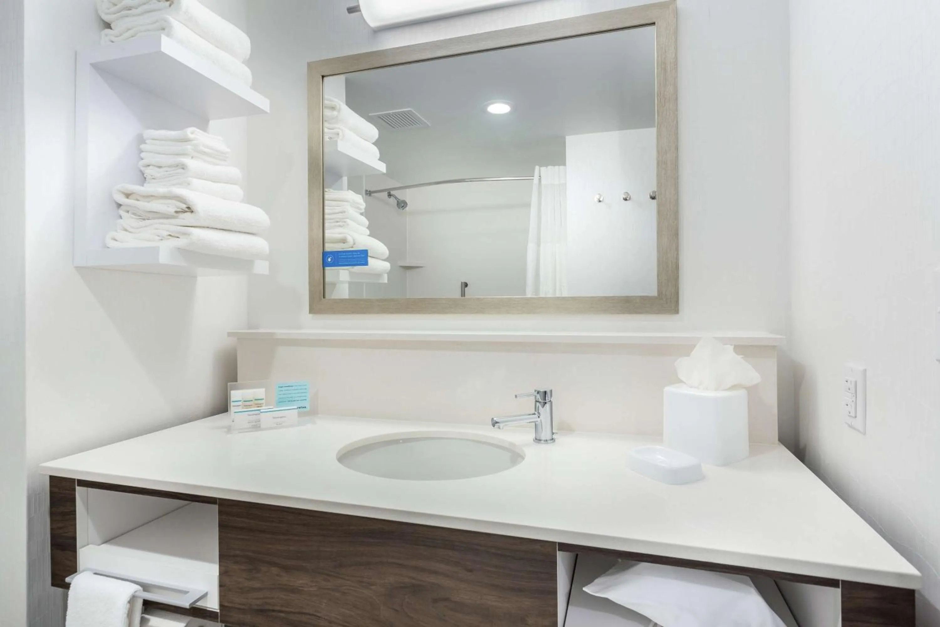 Bathroom in Hampton Inn & Suites Saraland Mobile