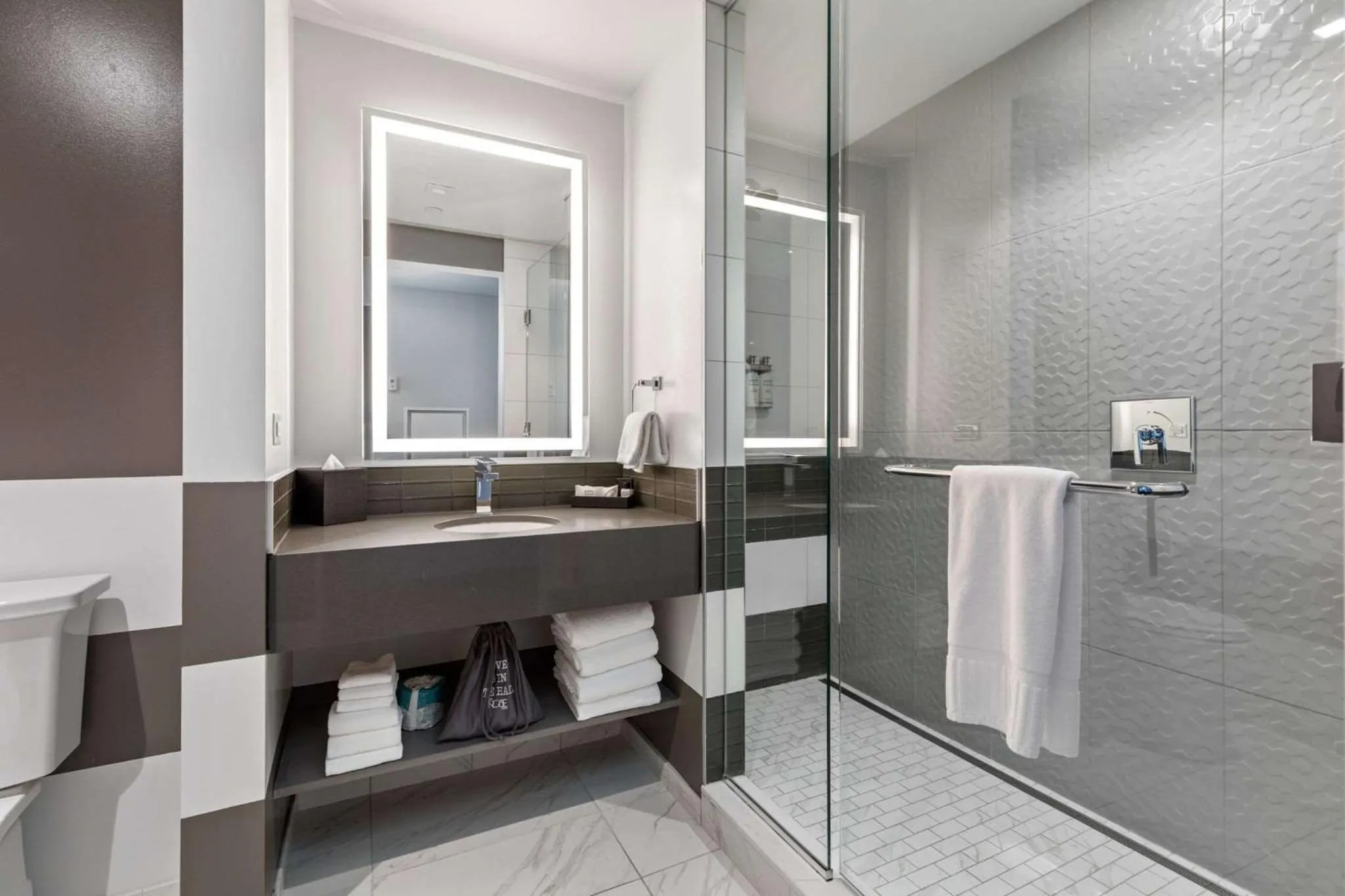 Bathroom in The Rose Chicago, Tapestry Collection By Hilton