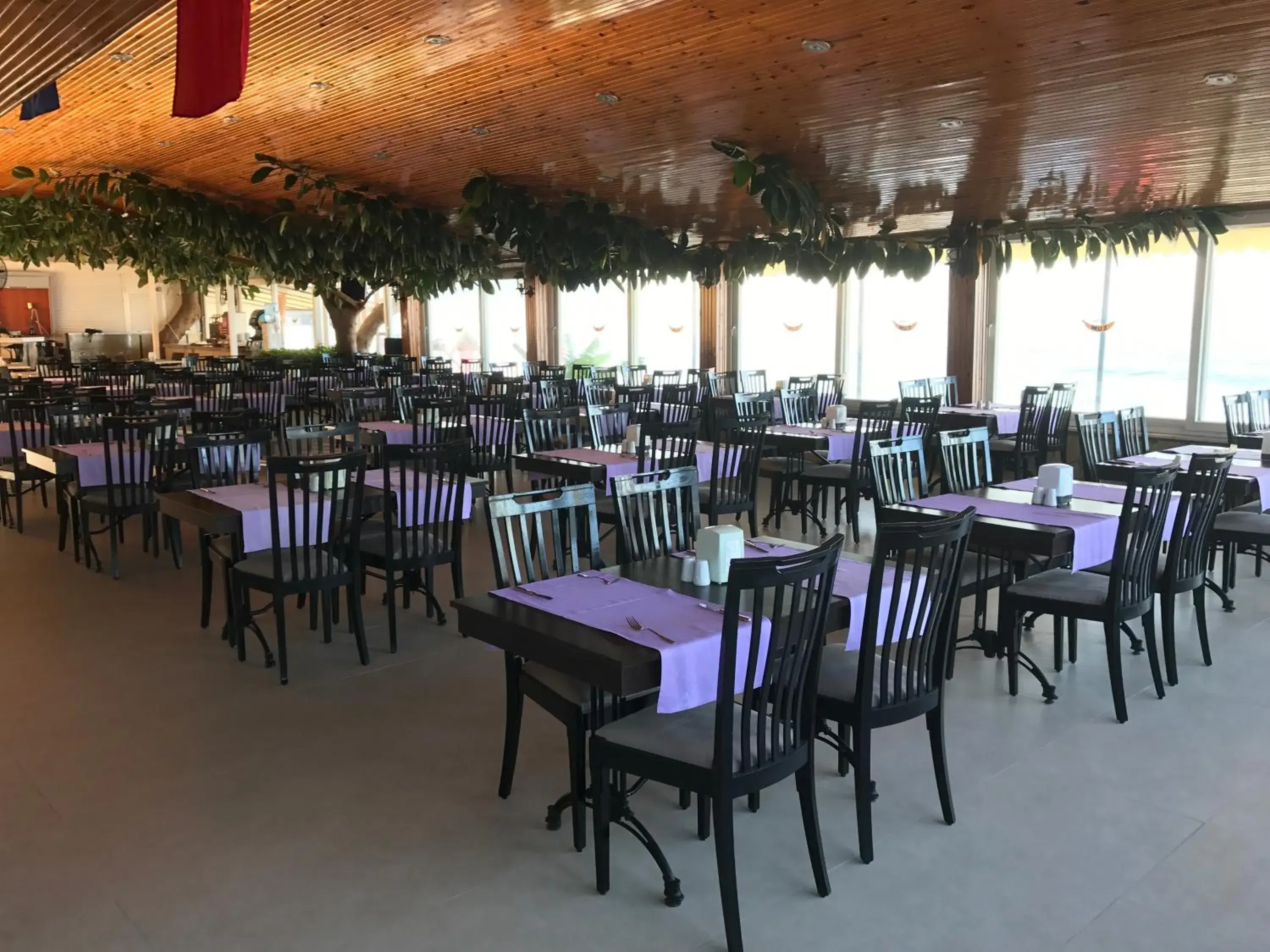 Restaurant/places to eat in Muz Hotel Restaurant/places to eat in Muz Hotel