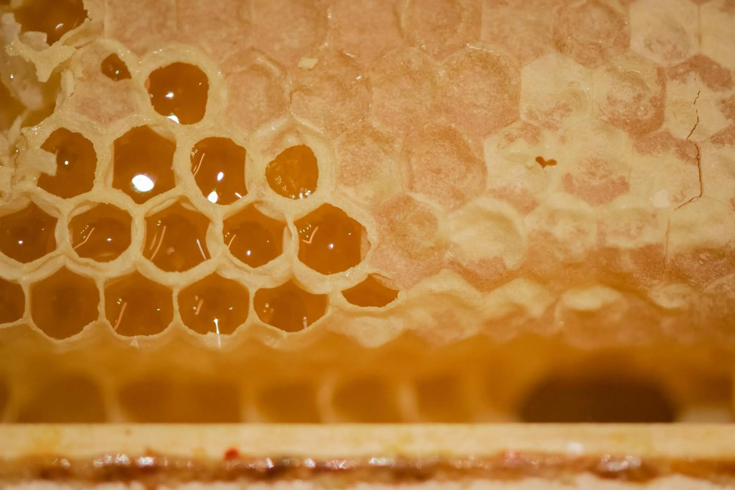 Breakfast in Hotel Cesa Tyrol