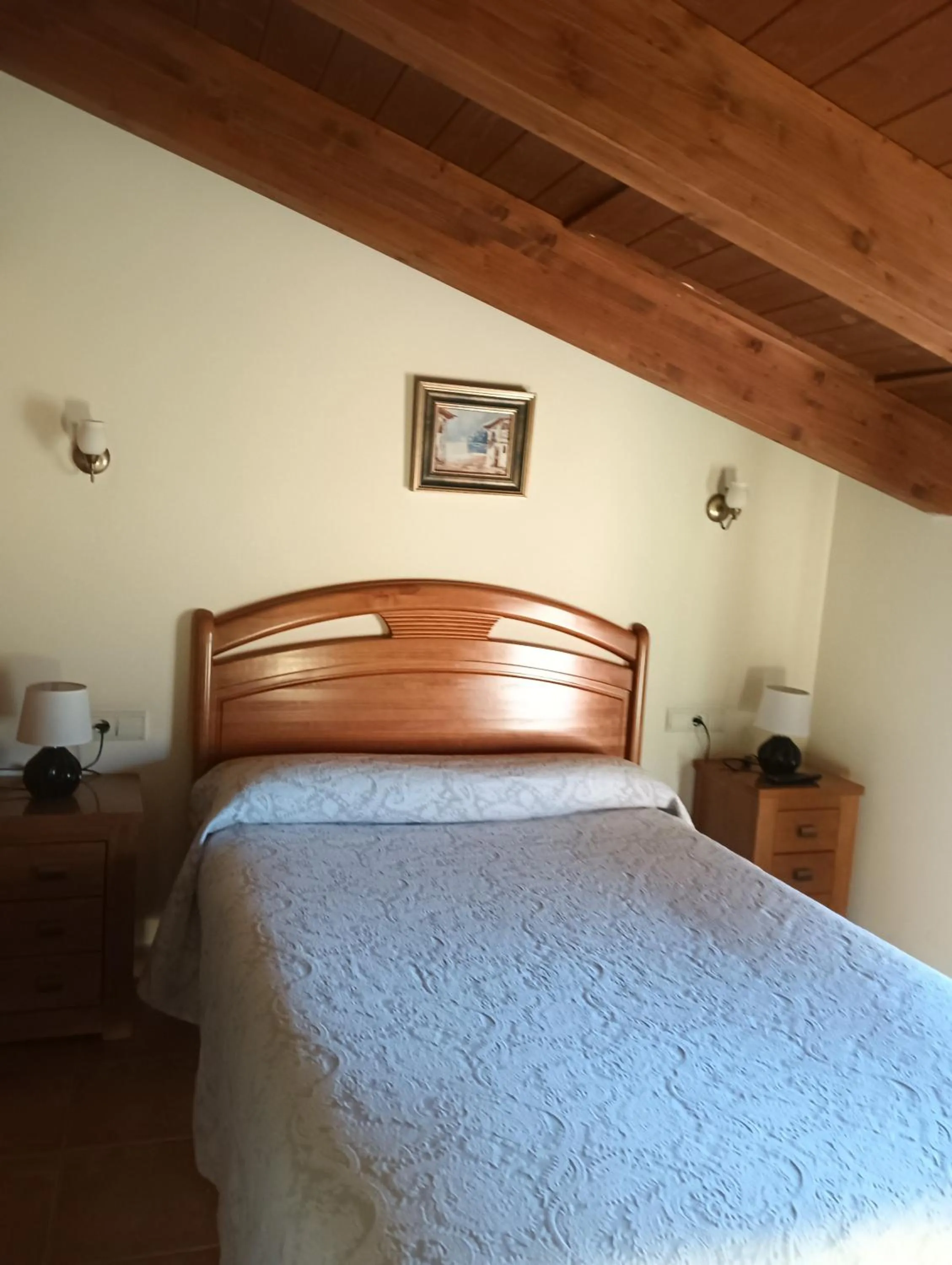 Double or Twin Room in Hostal Sol de la Vega