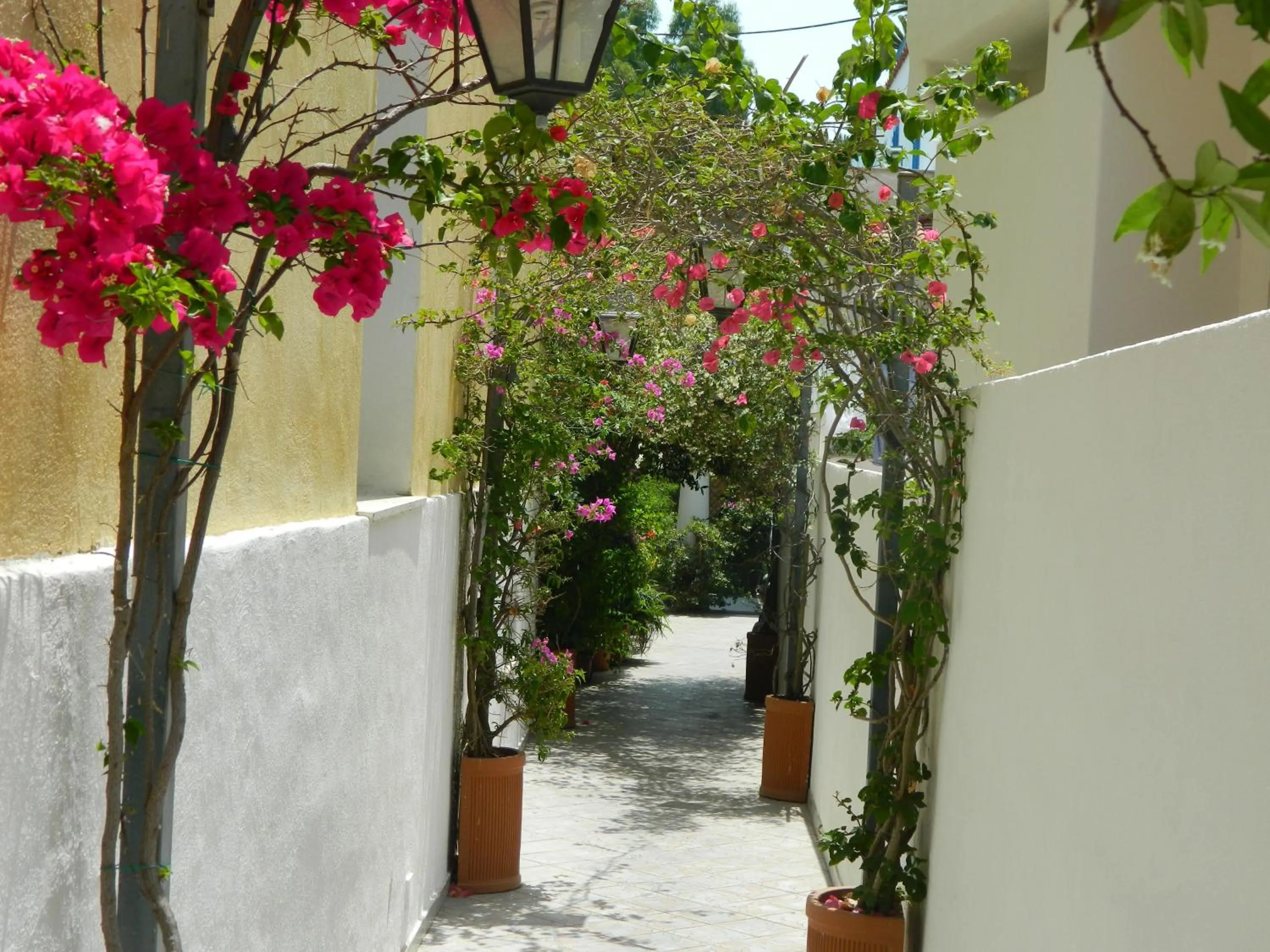 Other in Hotel Villa Hermosa