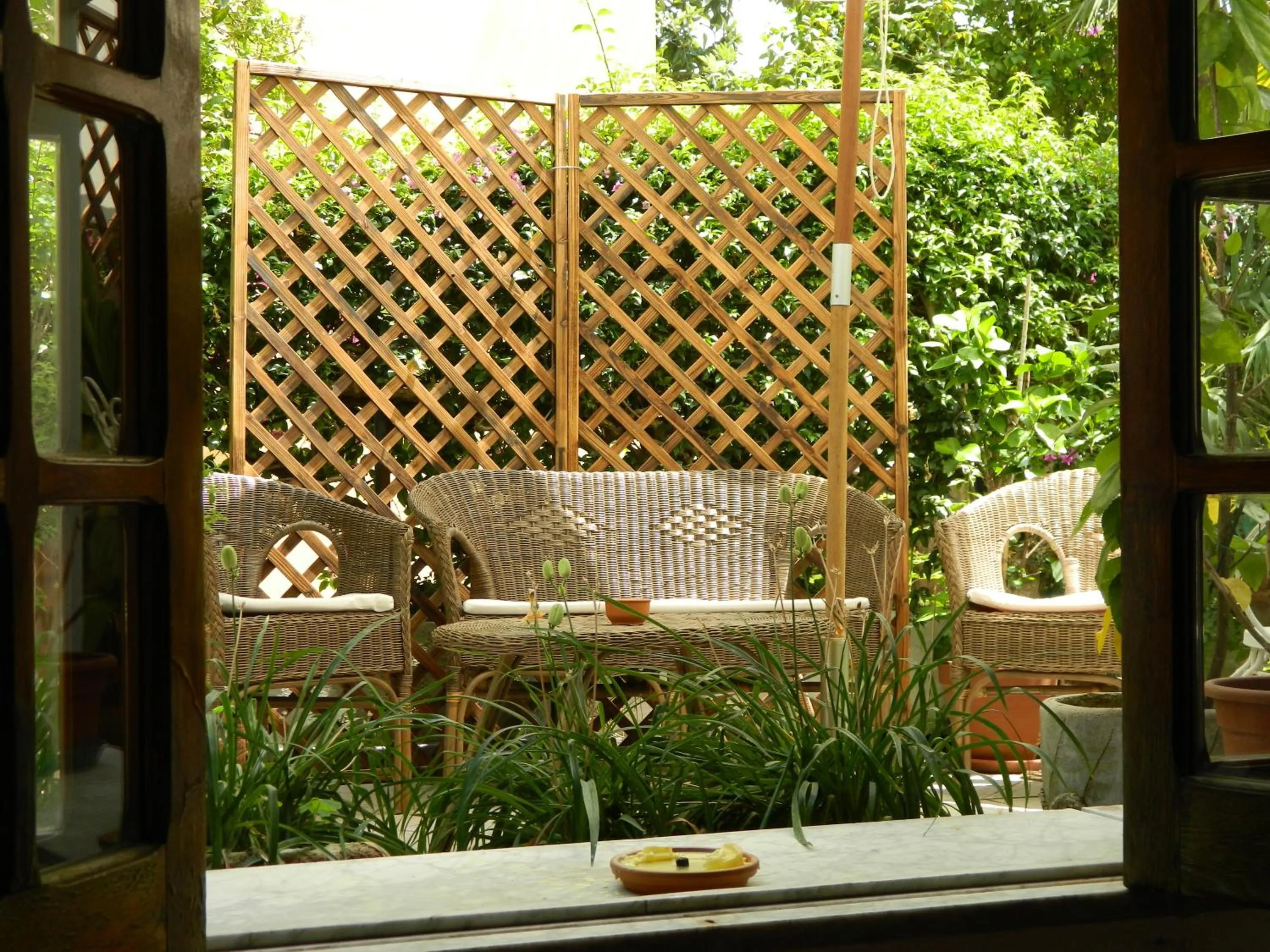 Garden in Hotel Villa Hermosa