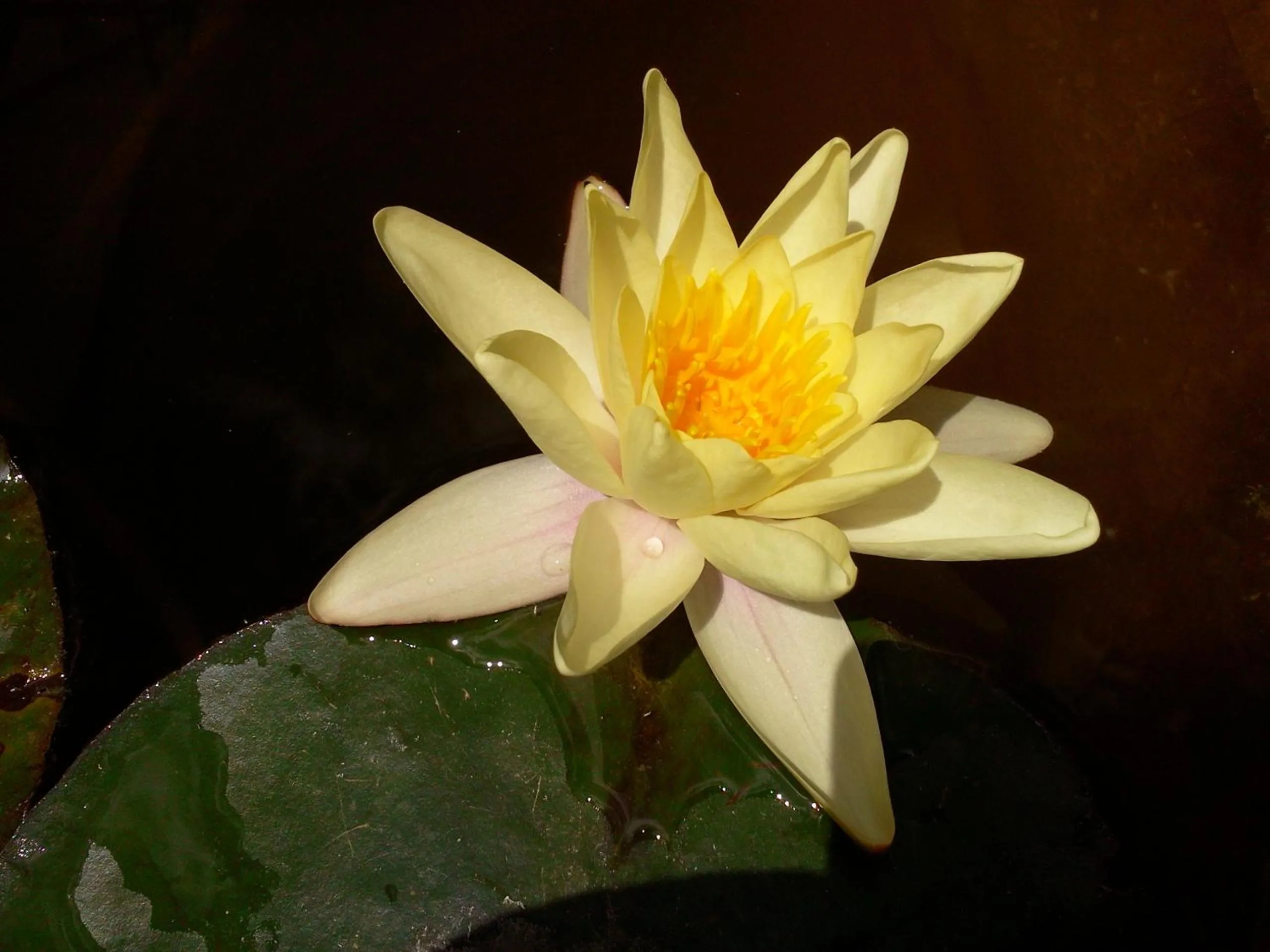 Decorative detail in Hotel Villa Hermosa