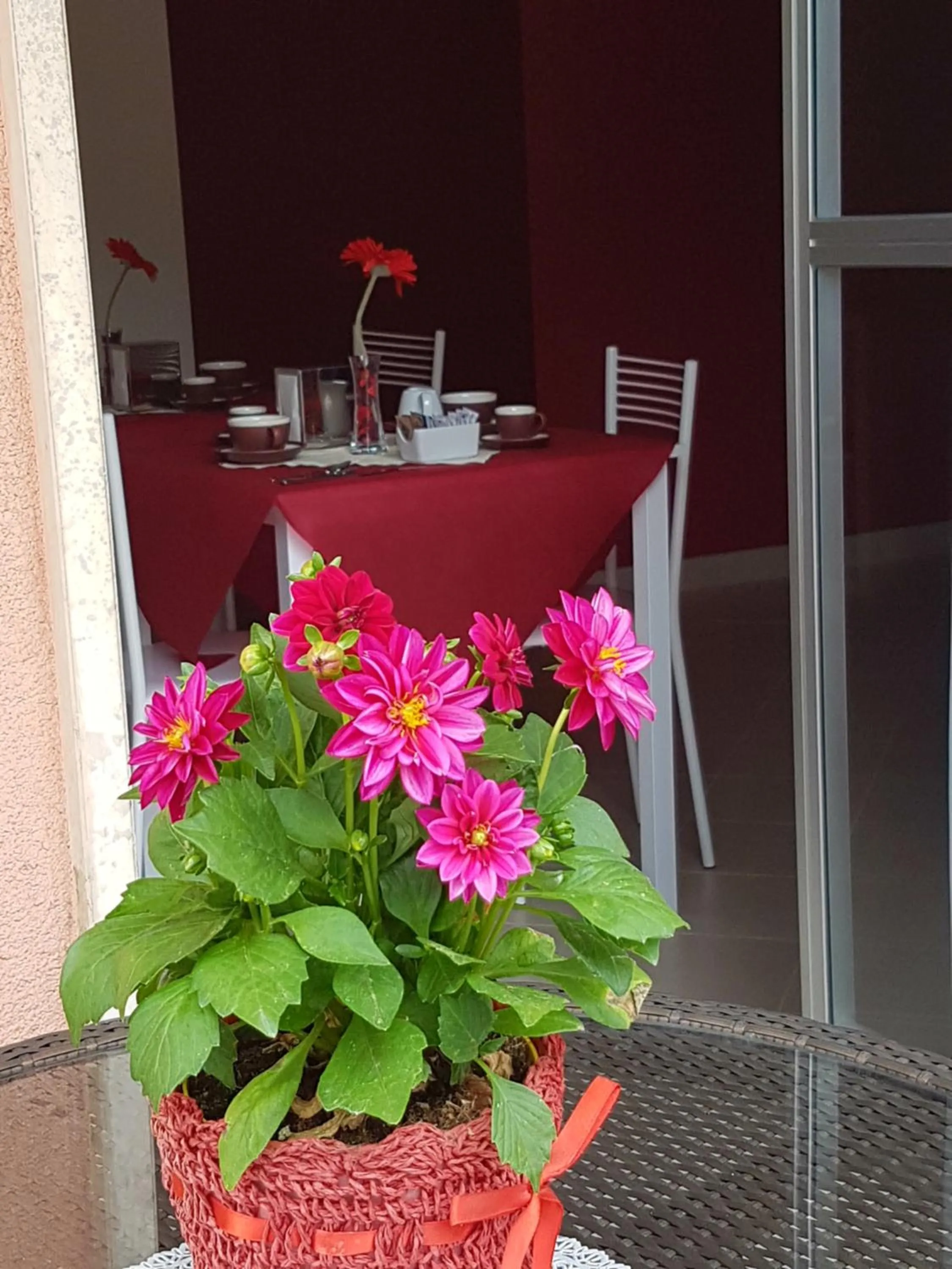 Patio in Villa Rosina