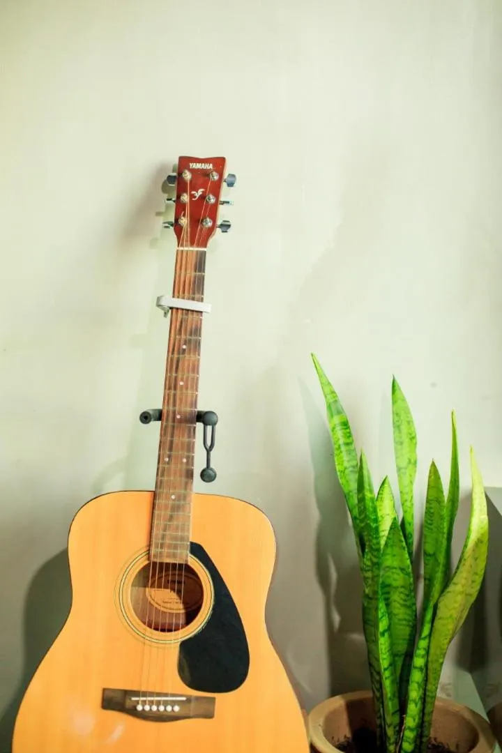 Entertainment in Homy Seafront Hostel