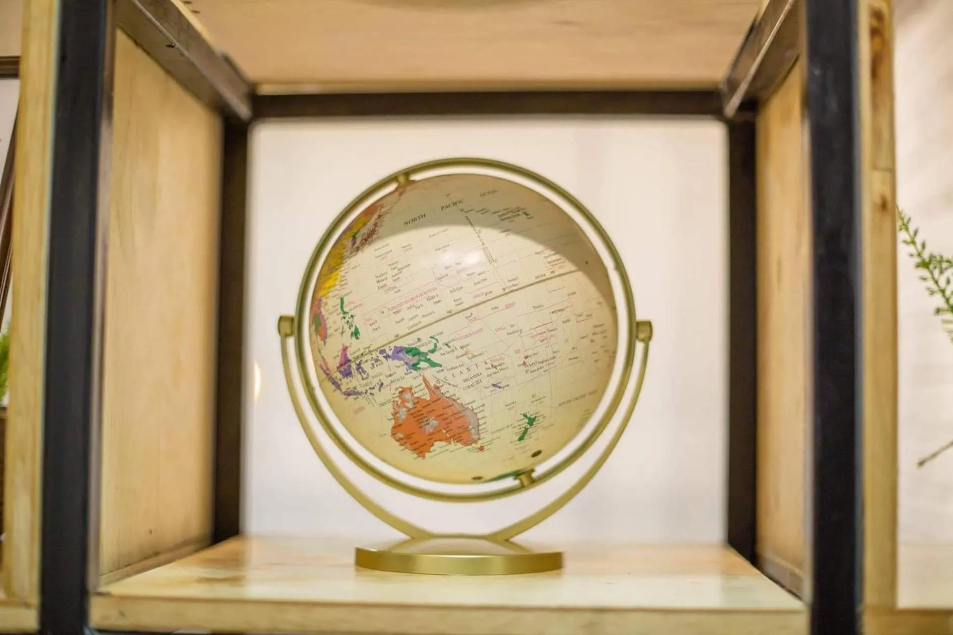 Homy Seafront Hostel