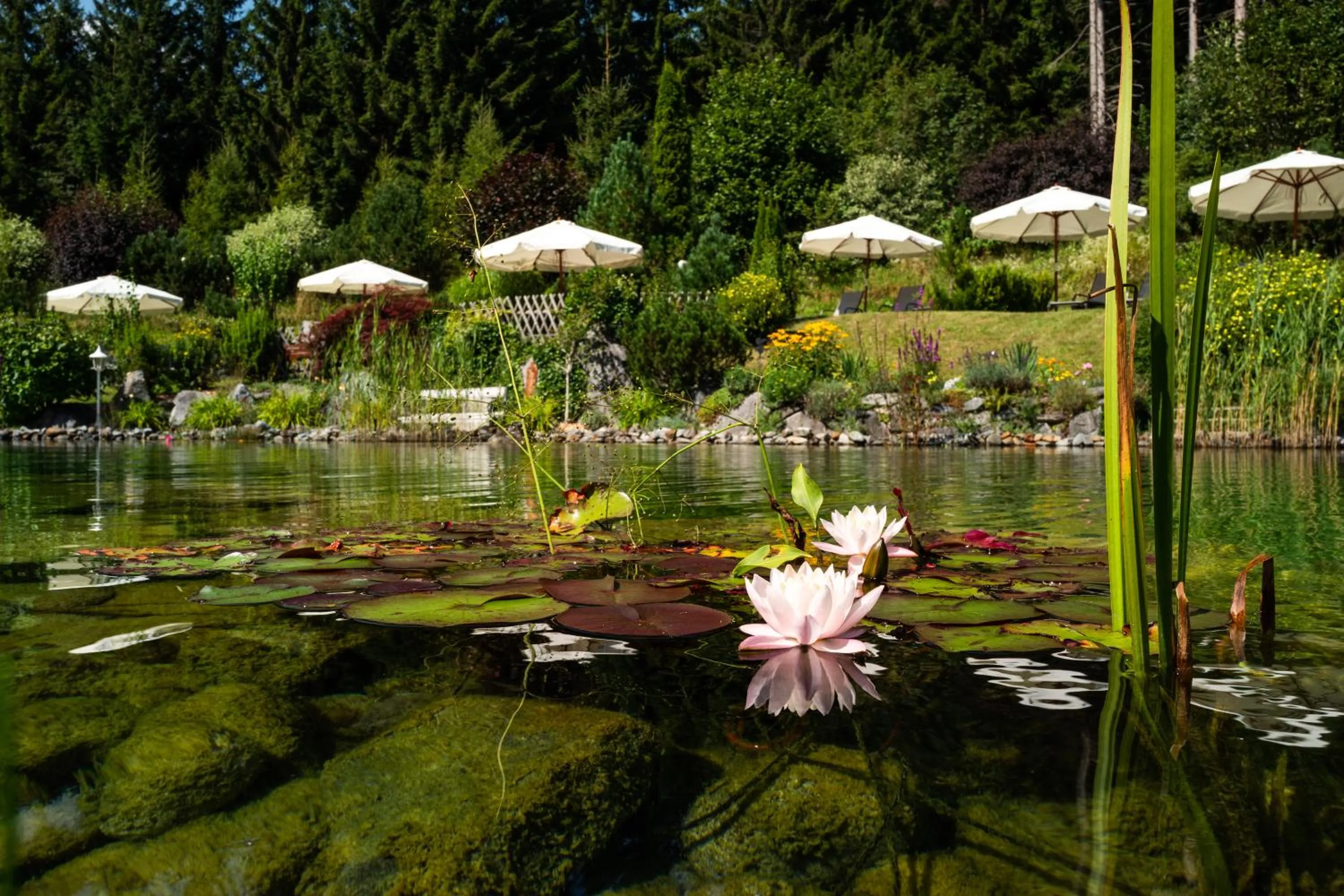 Garden in Hotel Hubertus