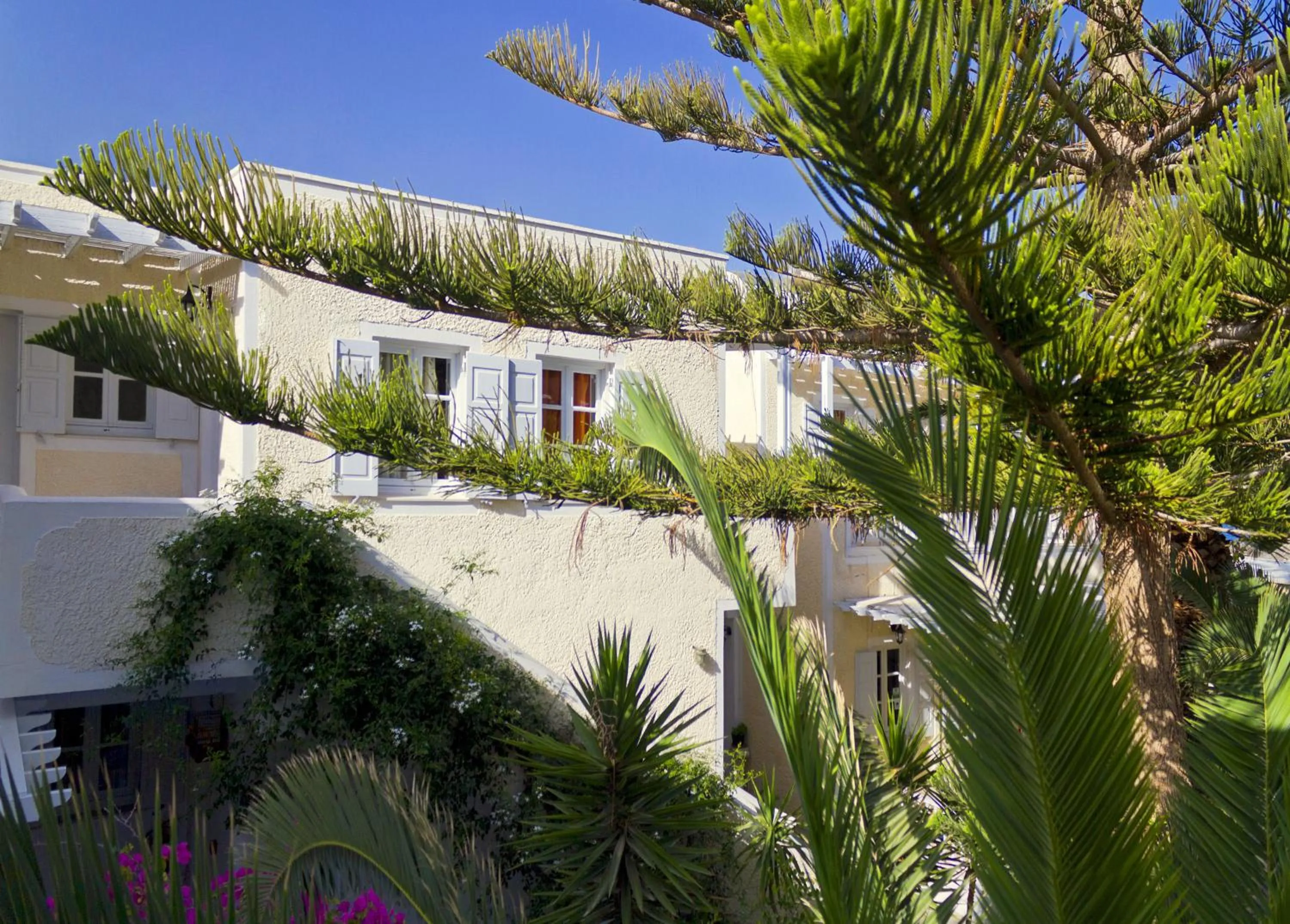 Property building in Dolphins Apartments