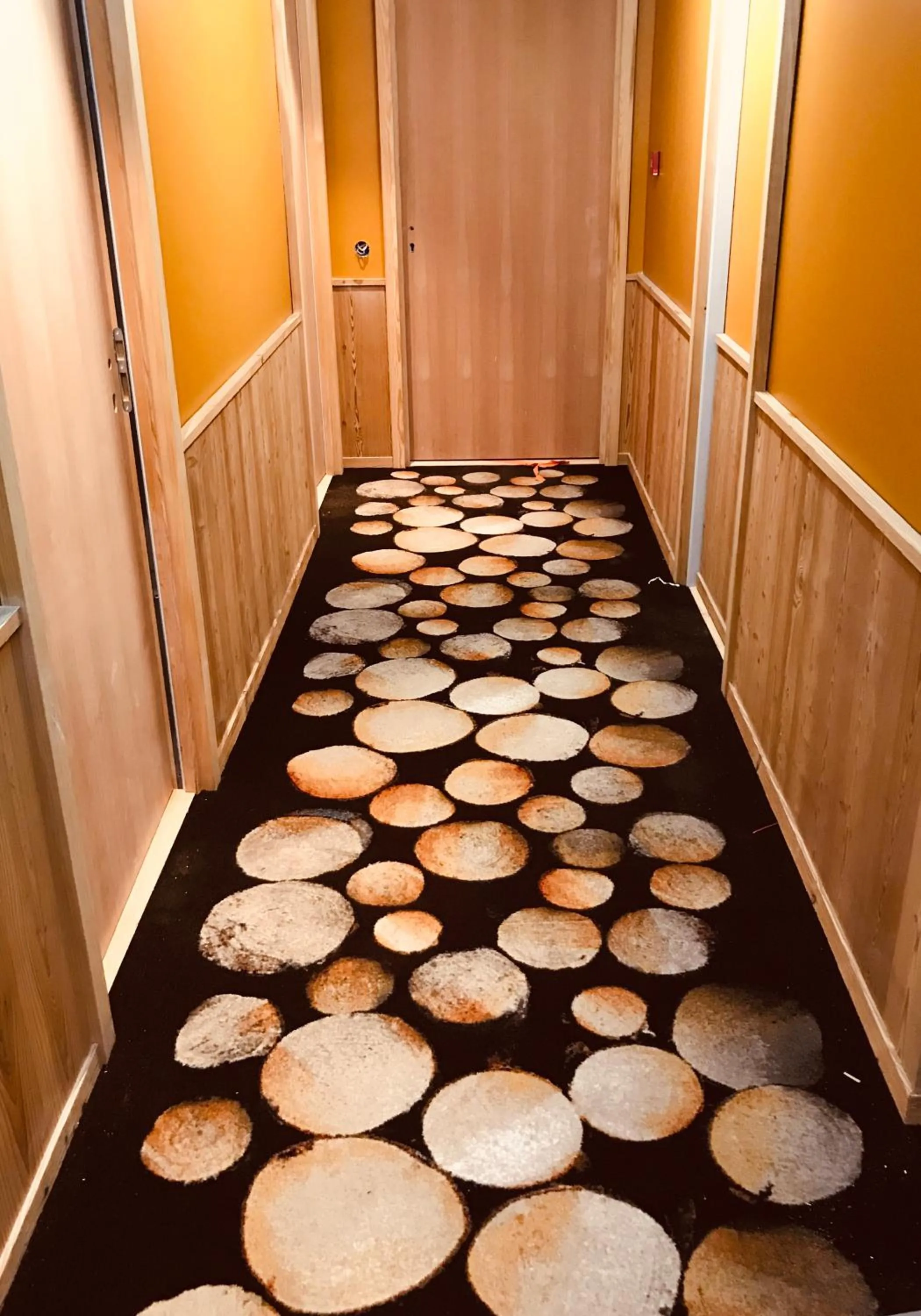 Hôtel LAPIAZ & Spa - FLAINE