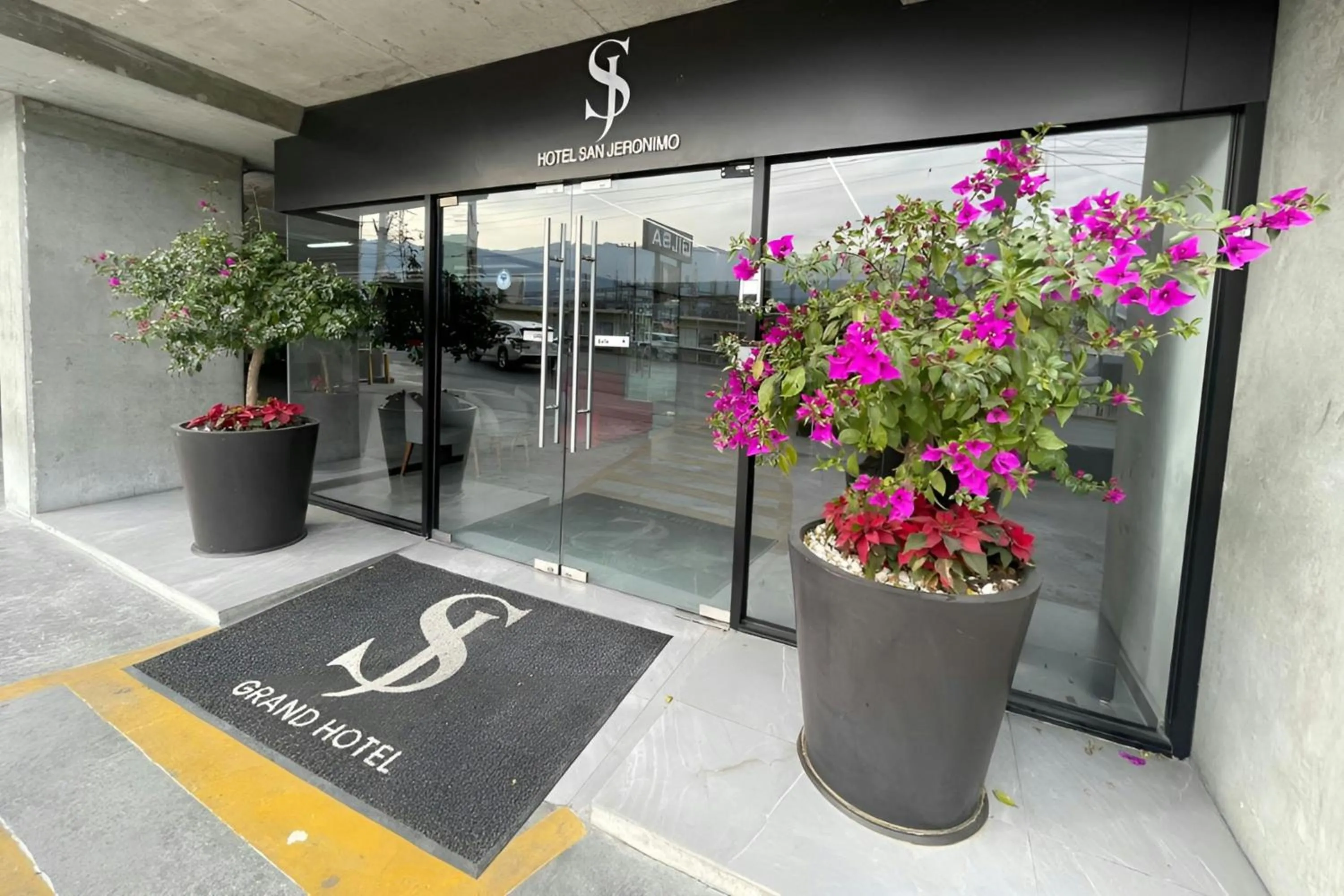 View (from property/room) in SJ Grand Hotel Monterrey