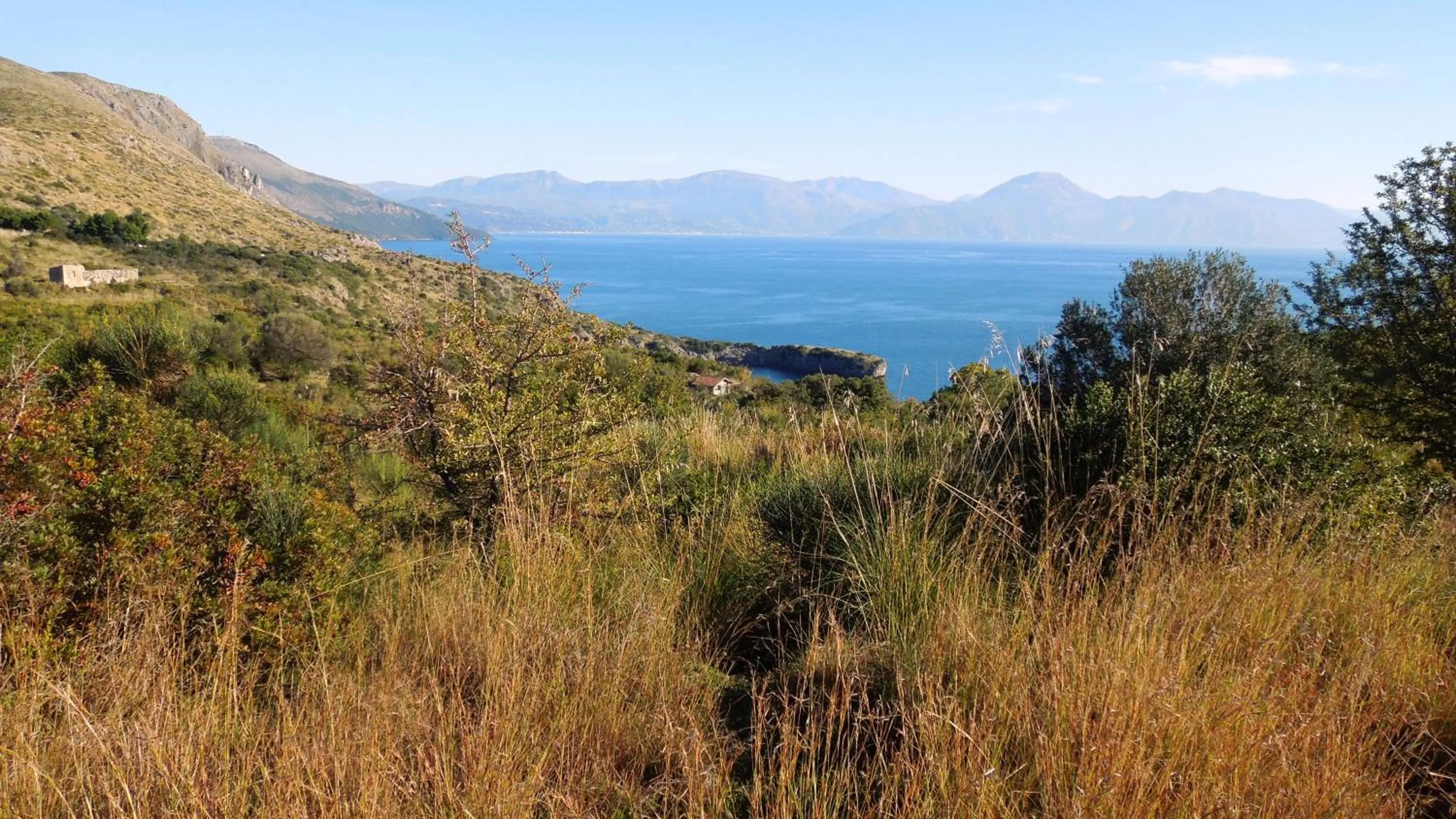 Natural landscape in Delfino