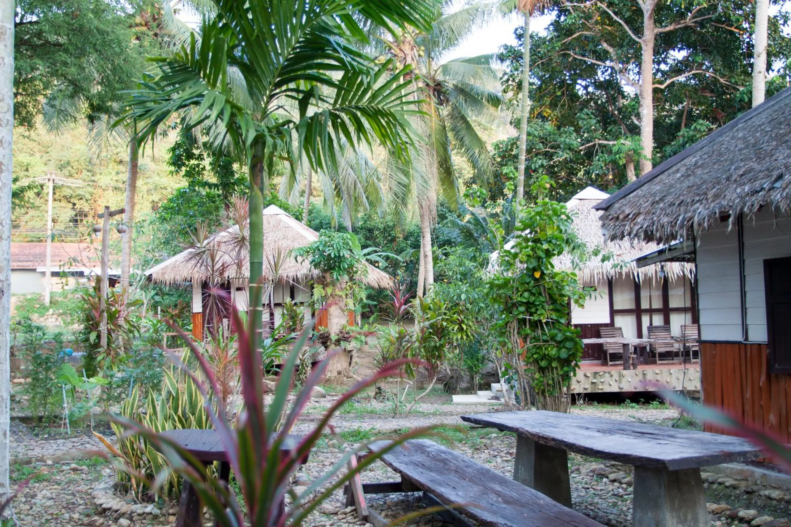 Property building in Ban_na