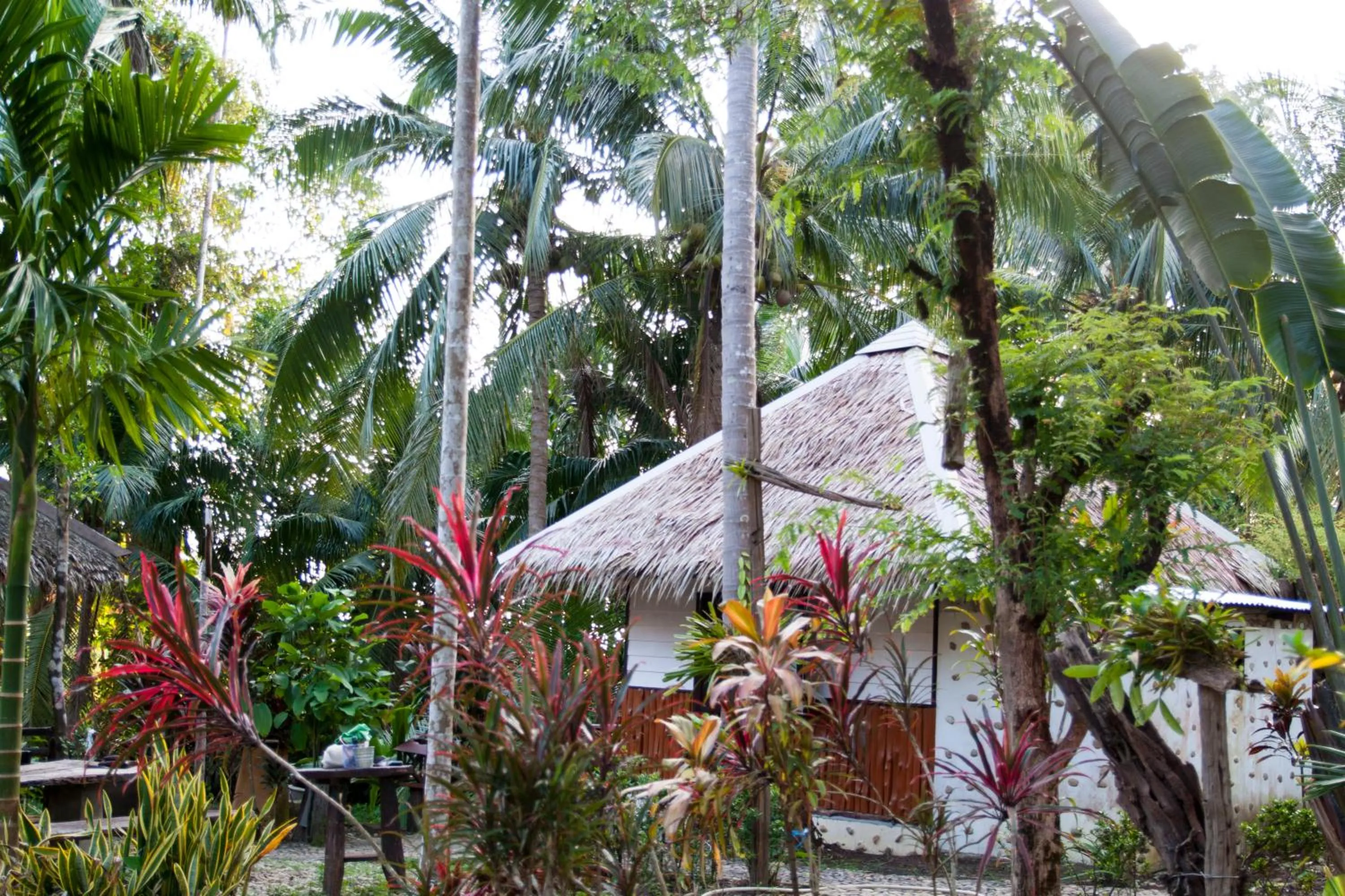 Property building in Ban_na