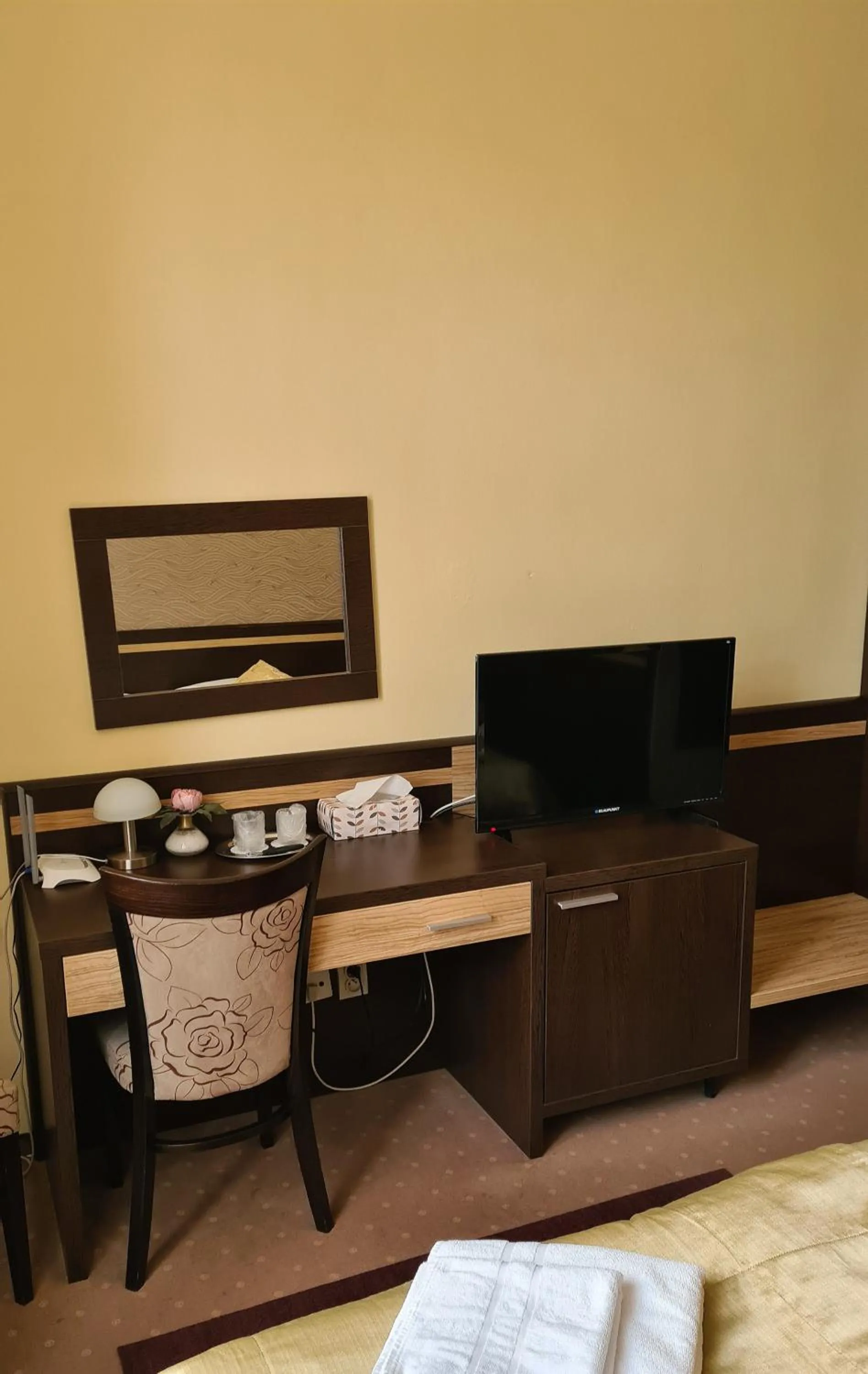 TV and multimedia in Hotel Čierny Orol