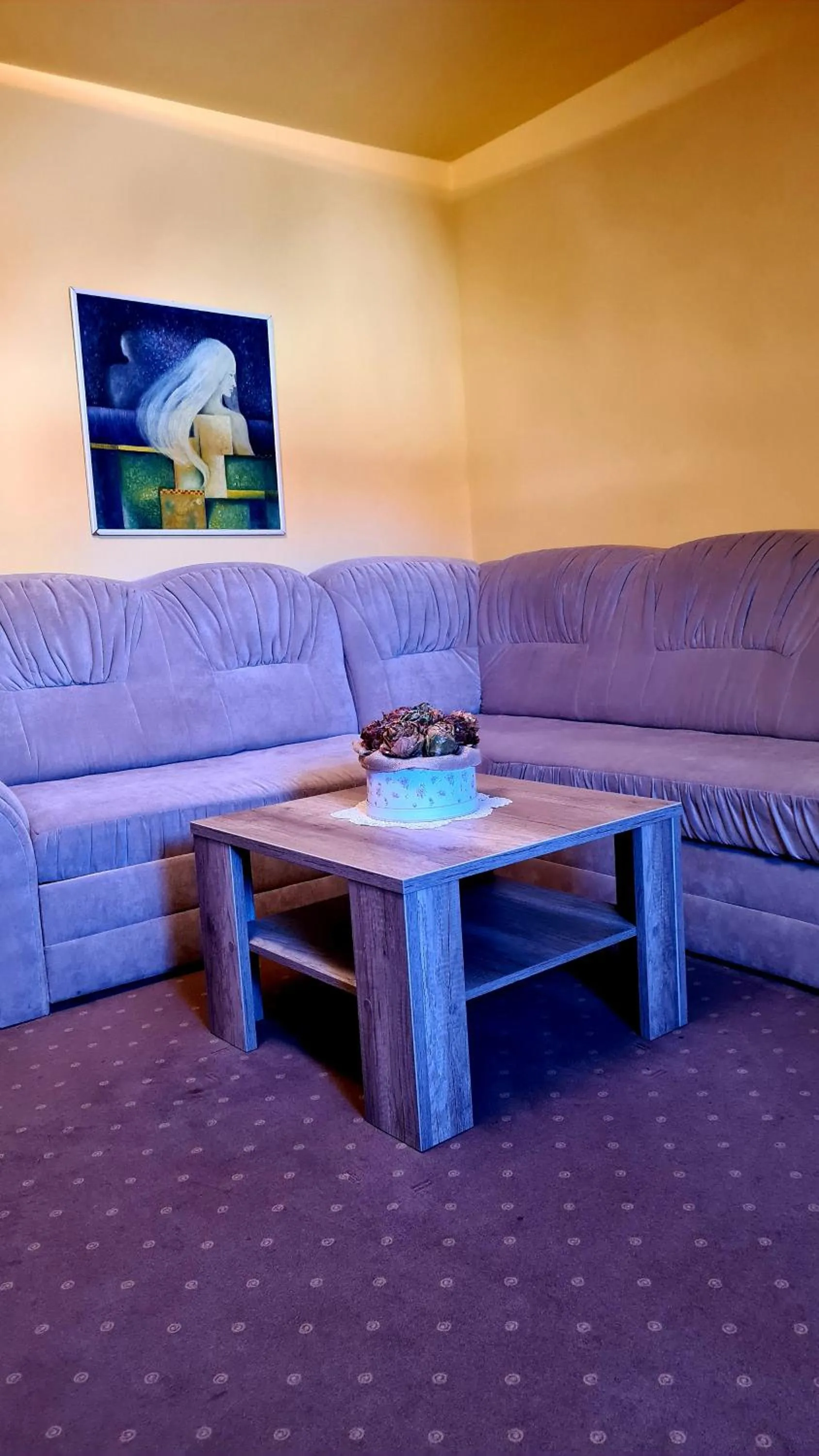 Seating area in Hotel Čierny Orol