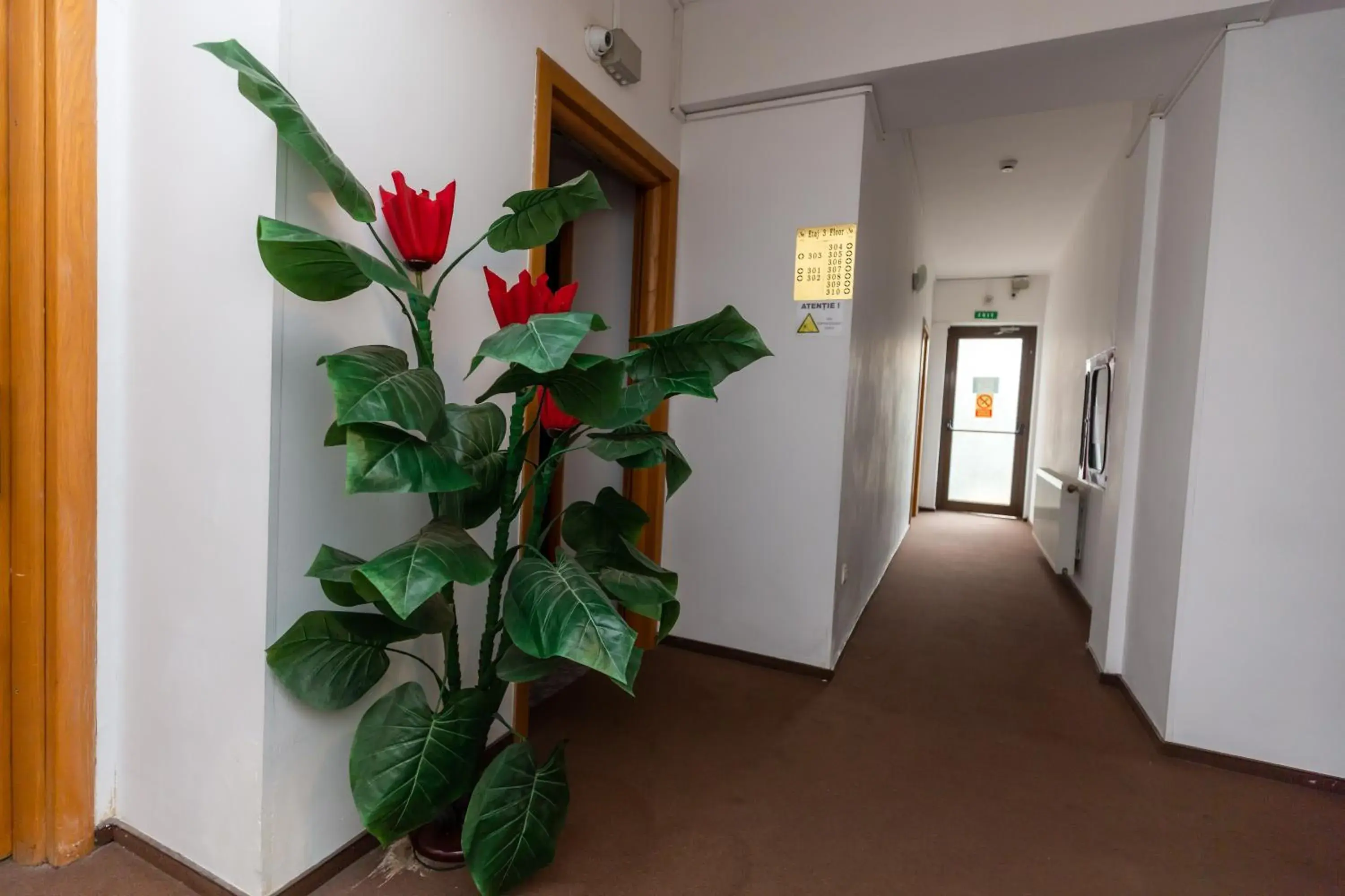 Hotel Sir Colentina Hotel Sir Colentina